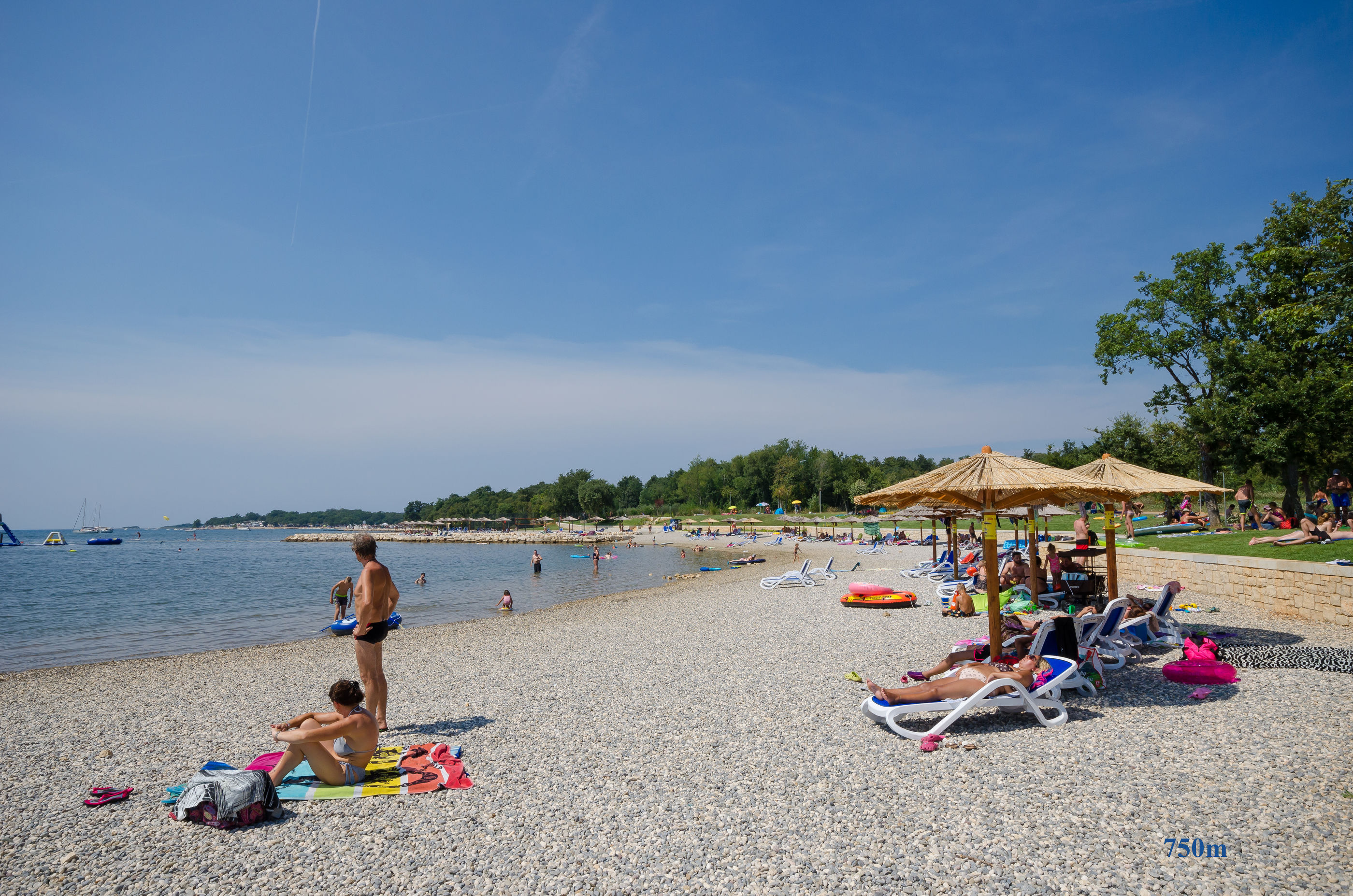 Photo of Apartments Ester