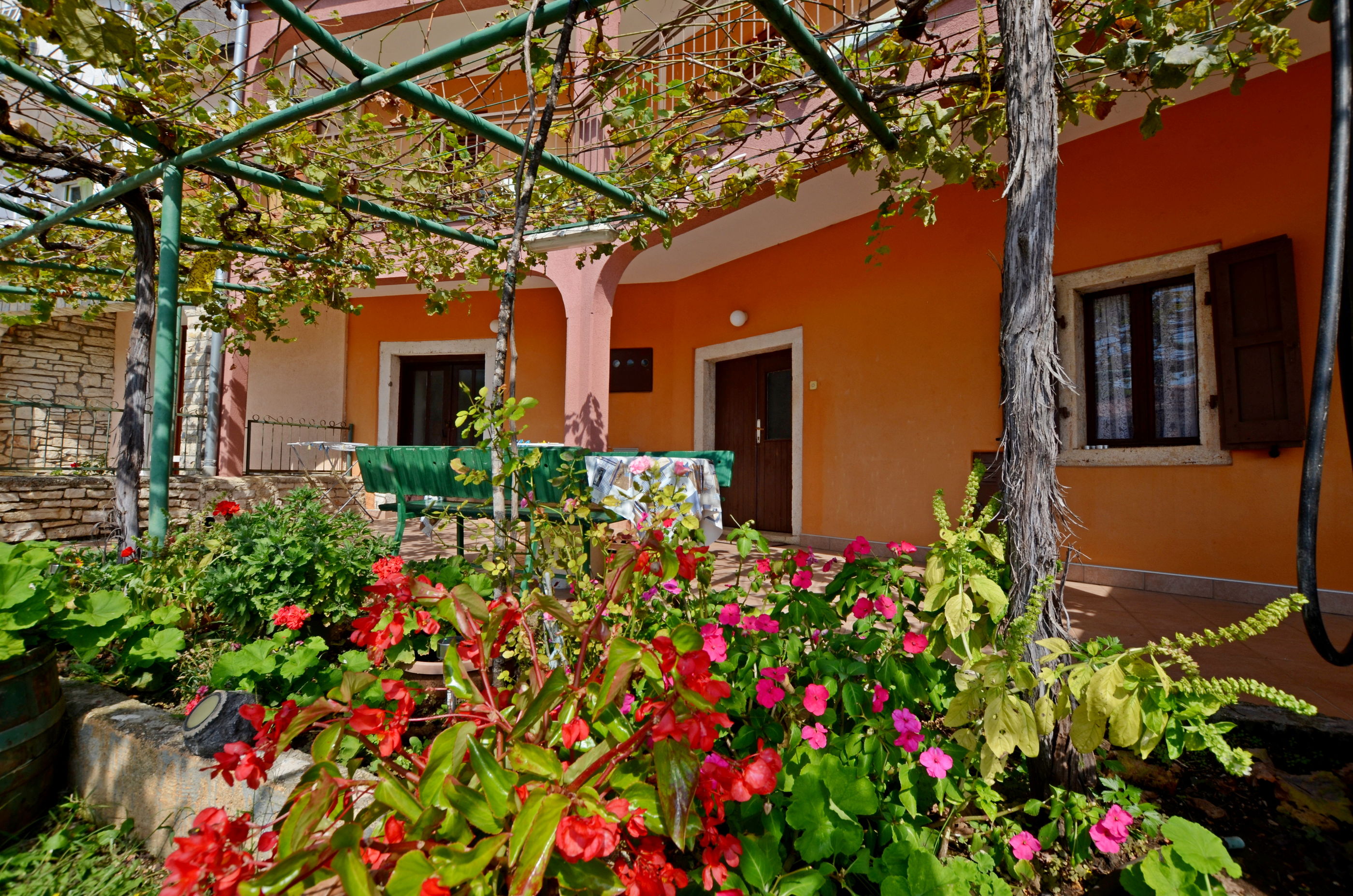 House Anton 70491-K1