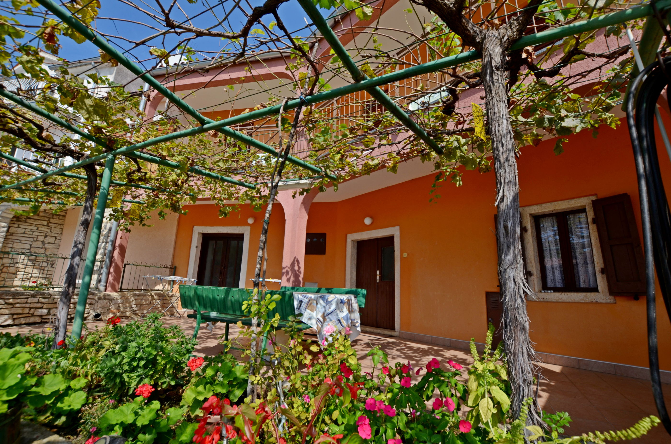 House Anton 70491-K1