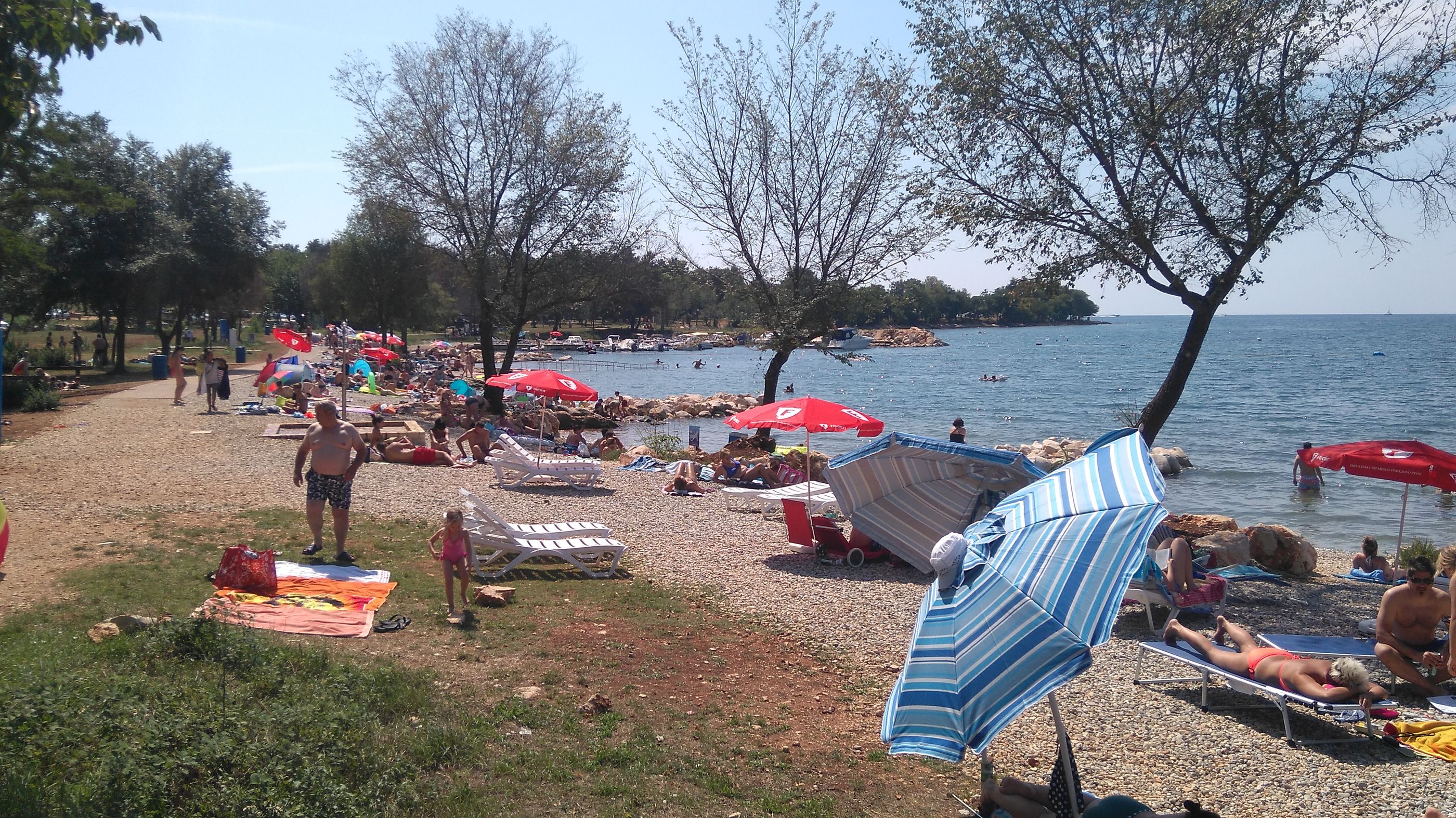 Photo of Apartment Loredana