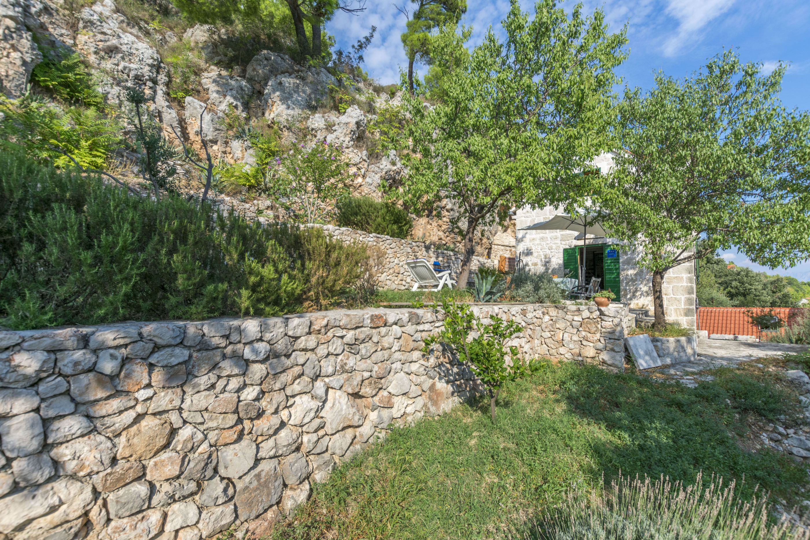 House Almond 16402-K1
