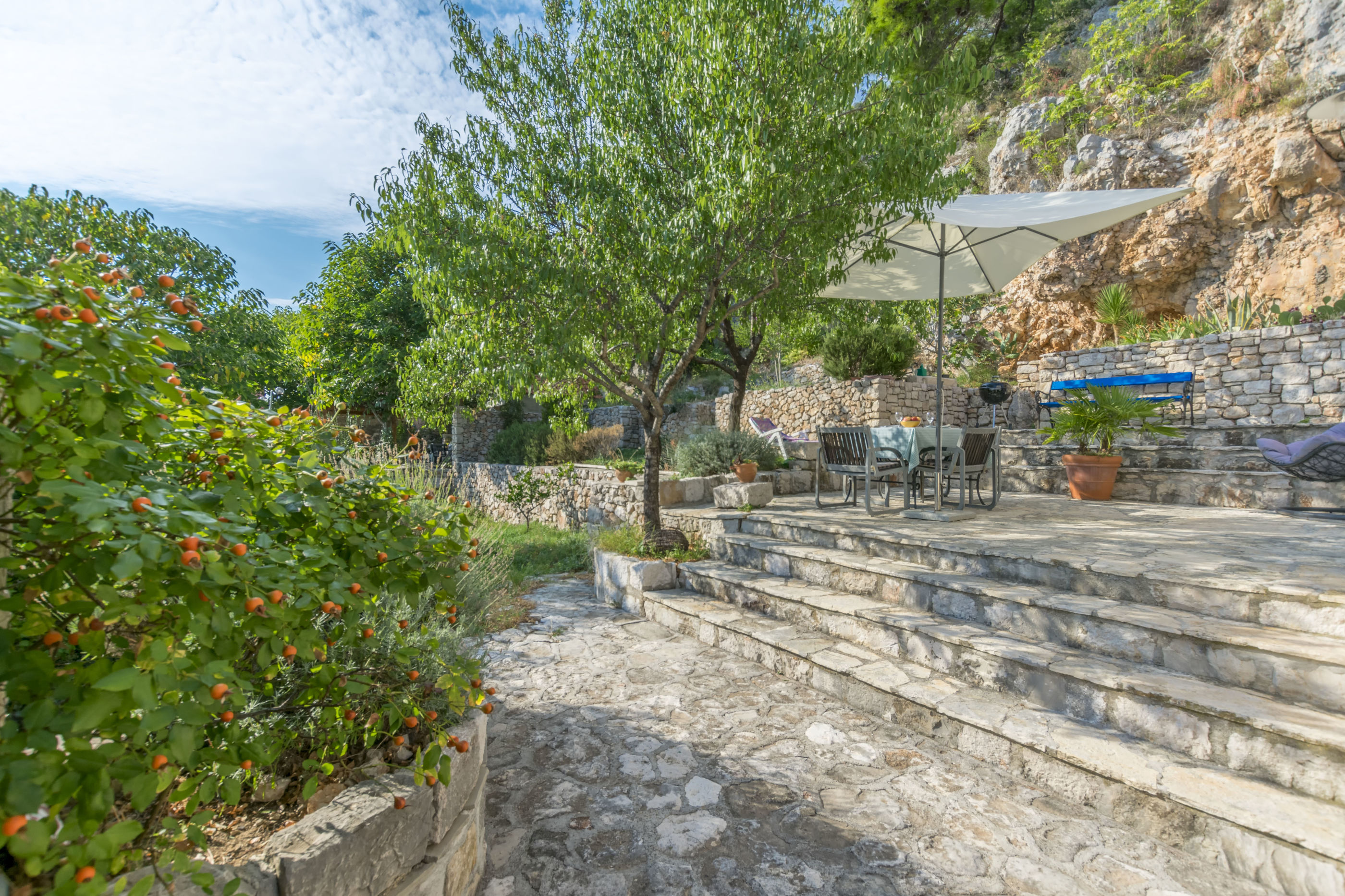 House Almond 16402-K1