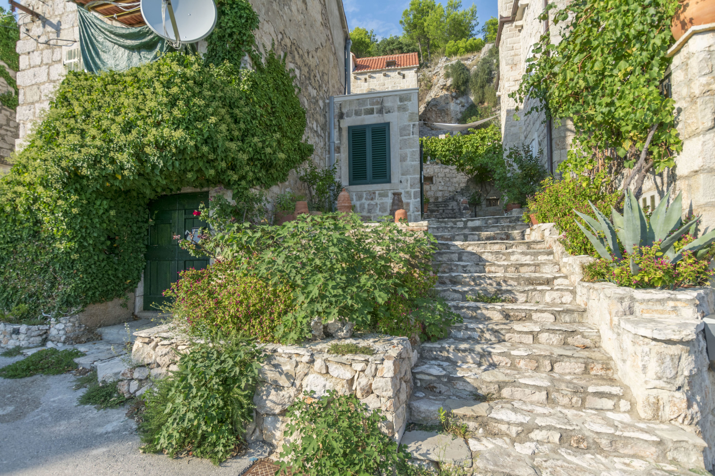 House Almond 16402-K1