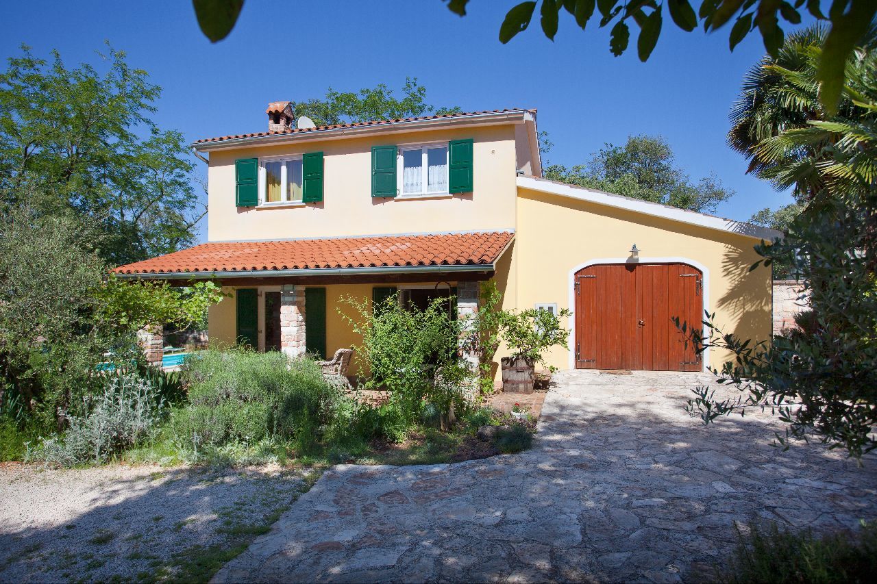 Villa Peronospora V0021-K1