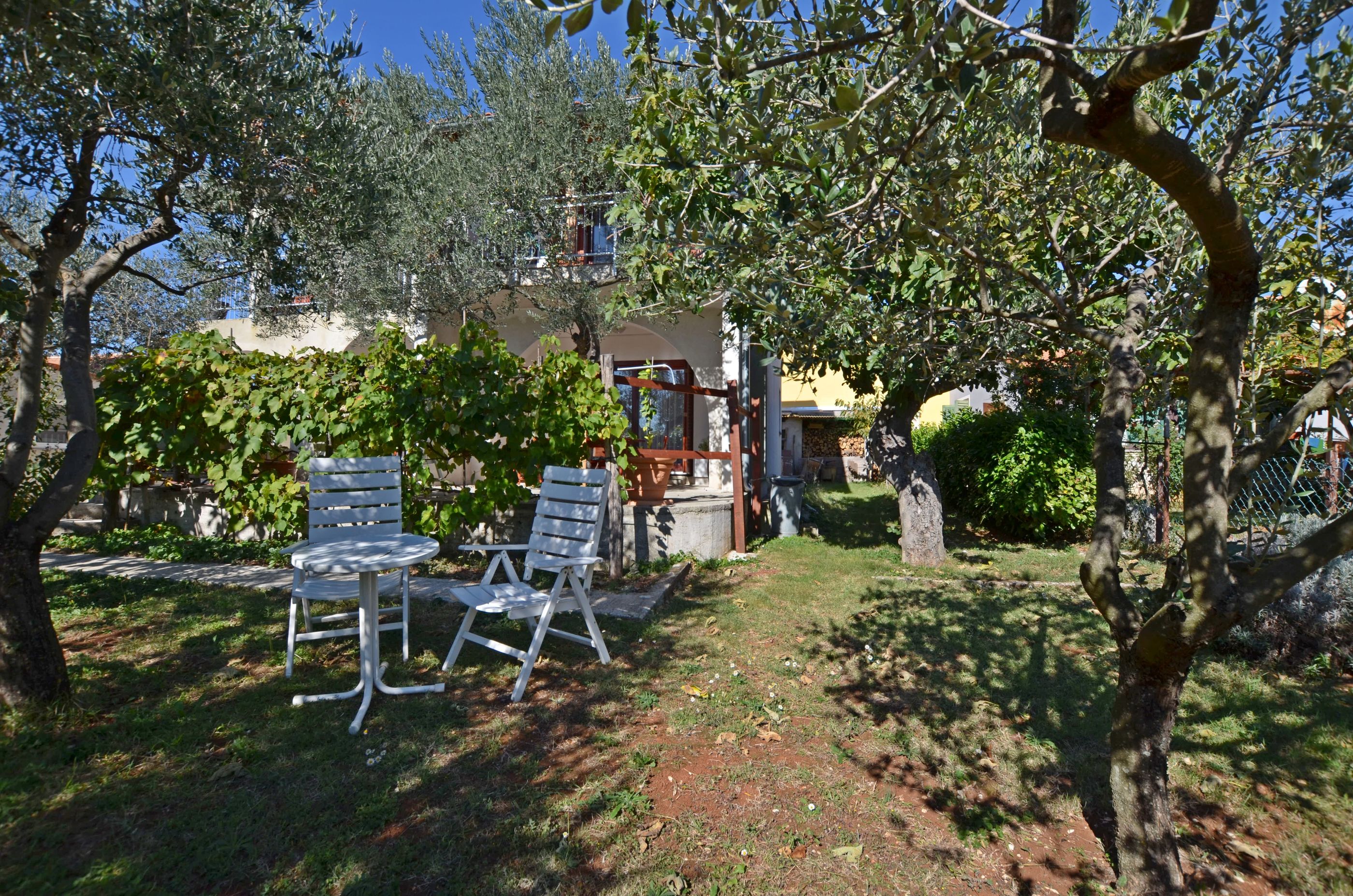 Apartment Mediteraneo 57931-A1