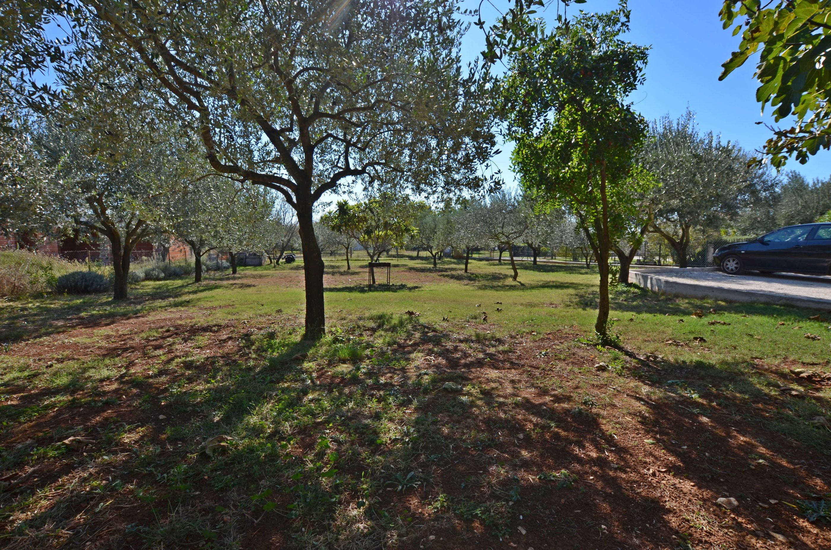 Apartment Mediteraneo 57931-A1