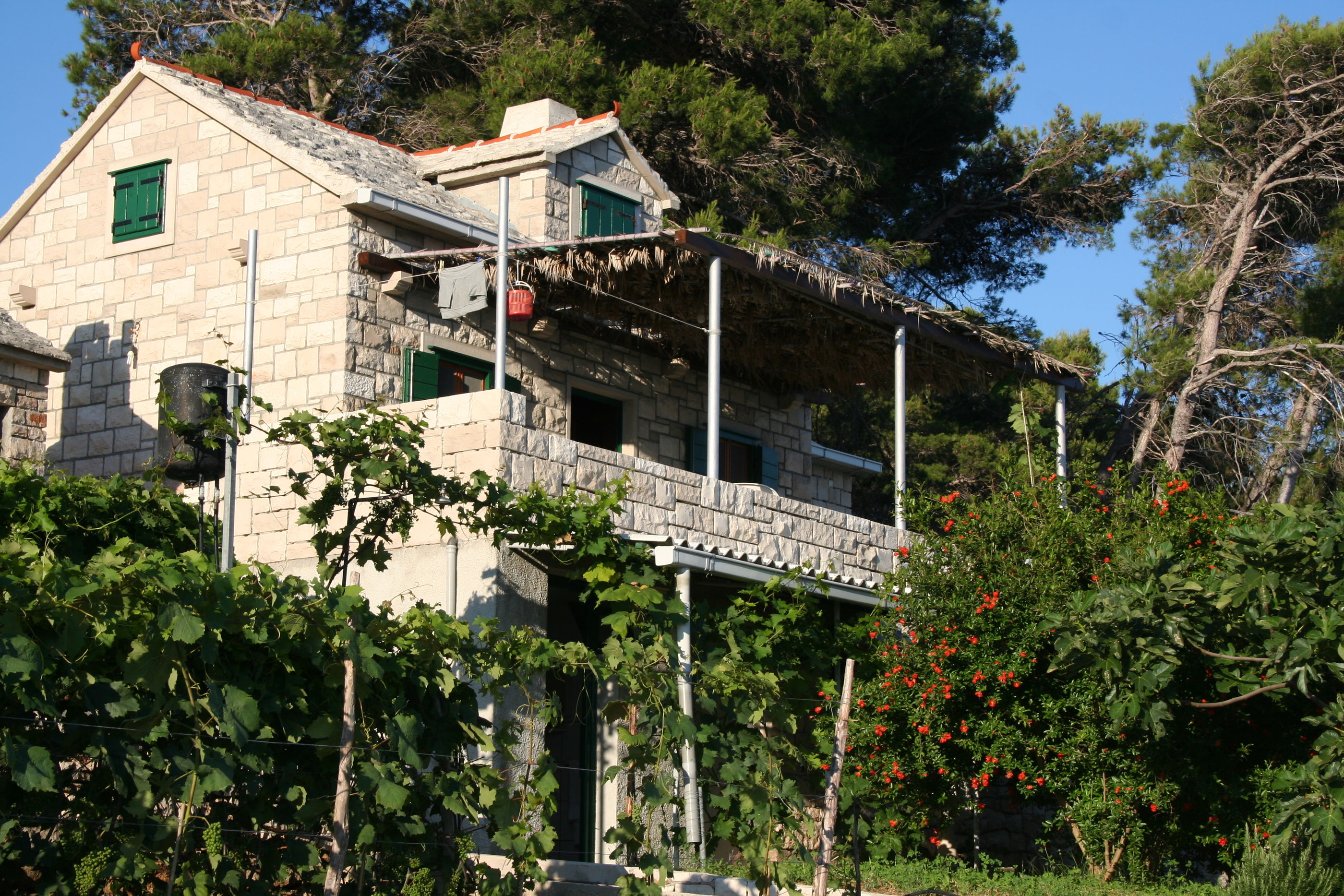 House Svjetlana 33841-K1