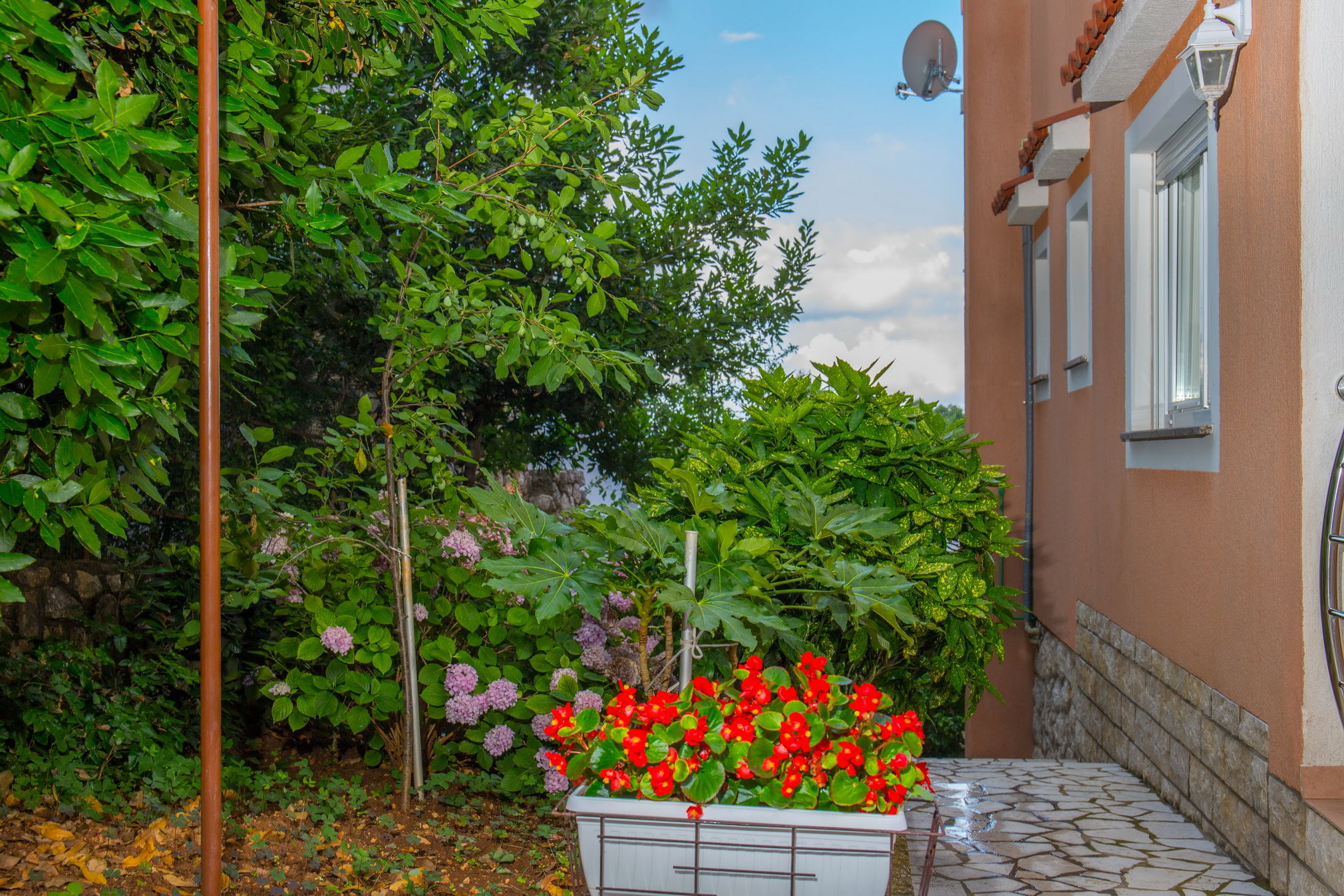 Apartments Zorica 62441-A3