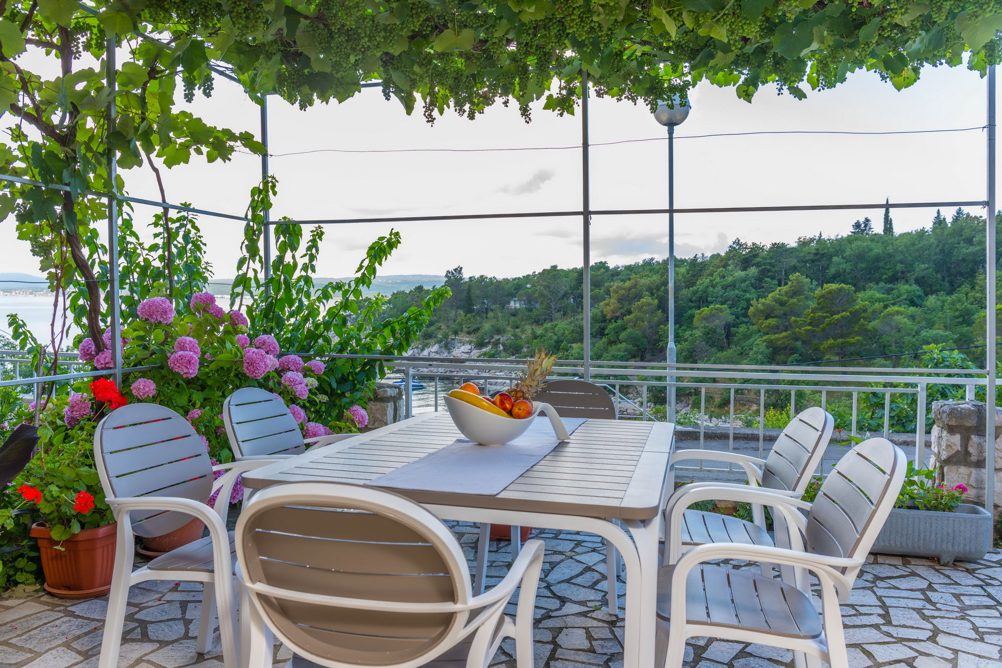 Apartments Zorica 62441-A5