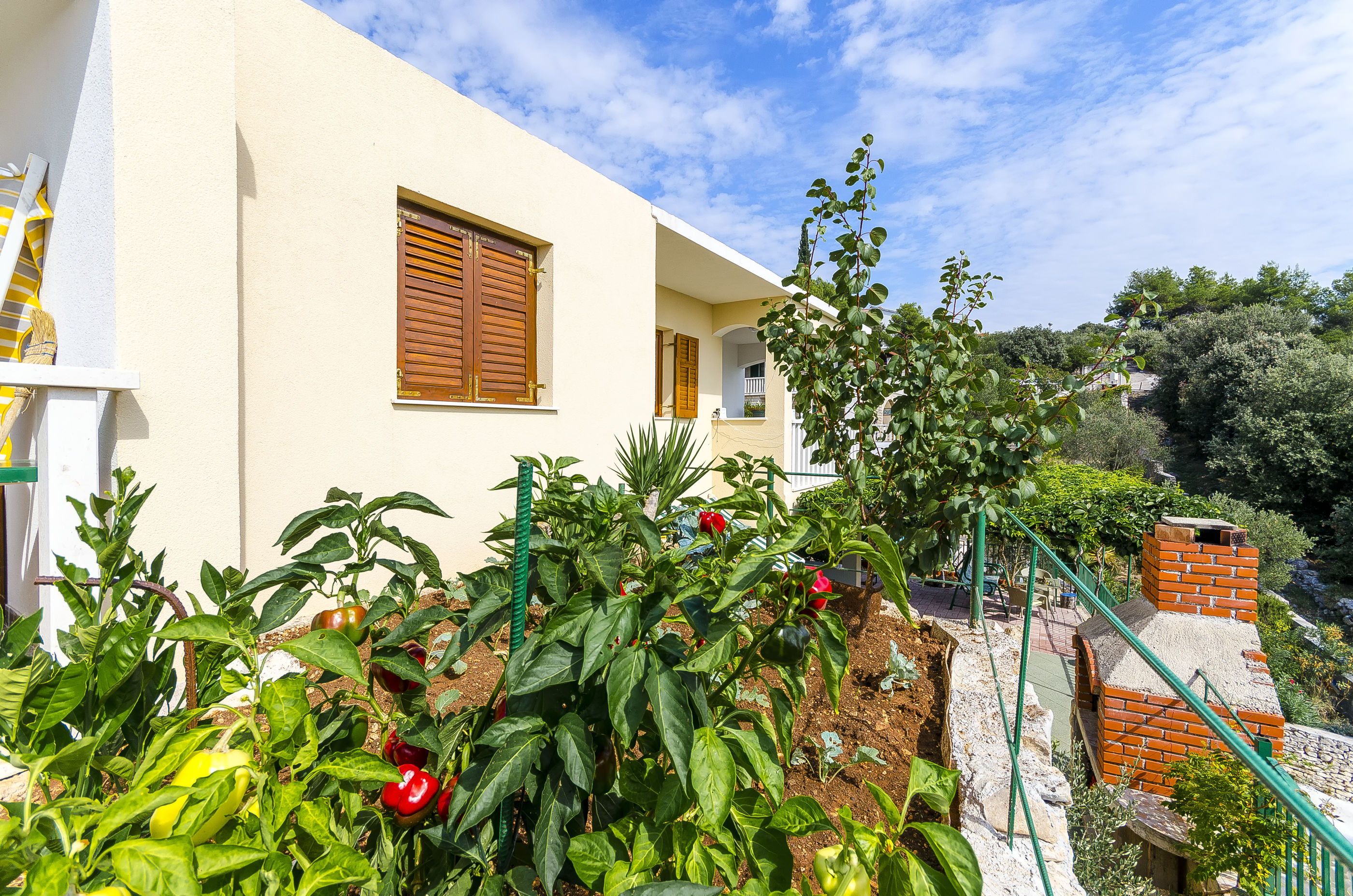 Apartments Toni 50091-A2