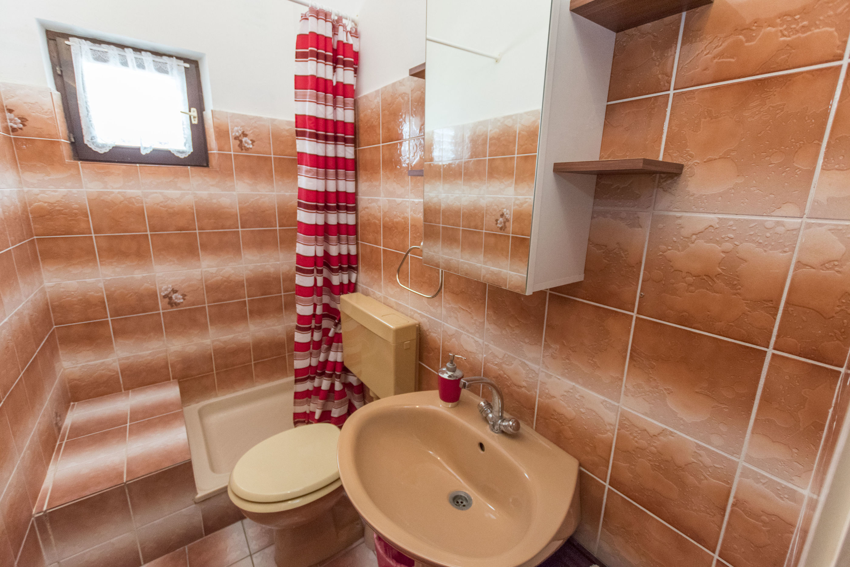 Apartment and Rooms Radojka 40963-S1