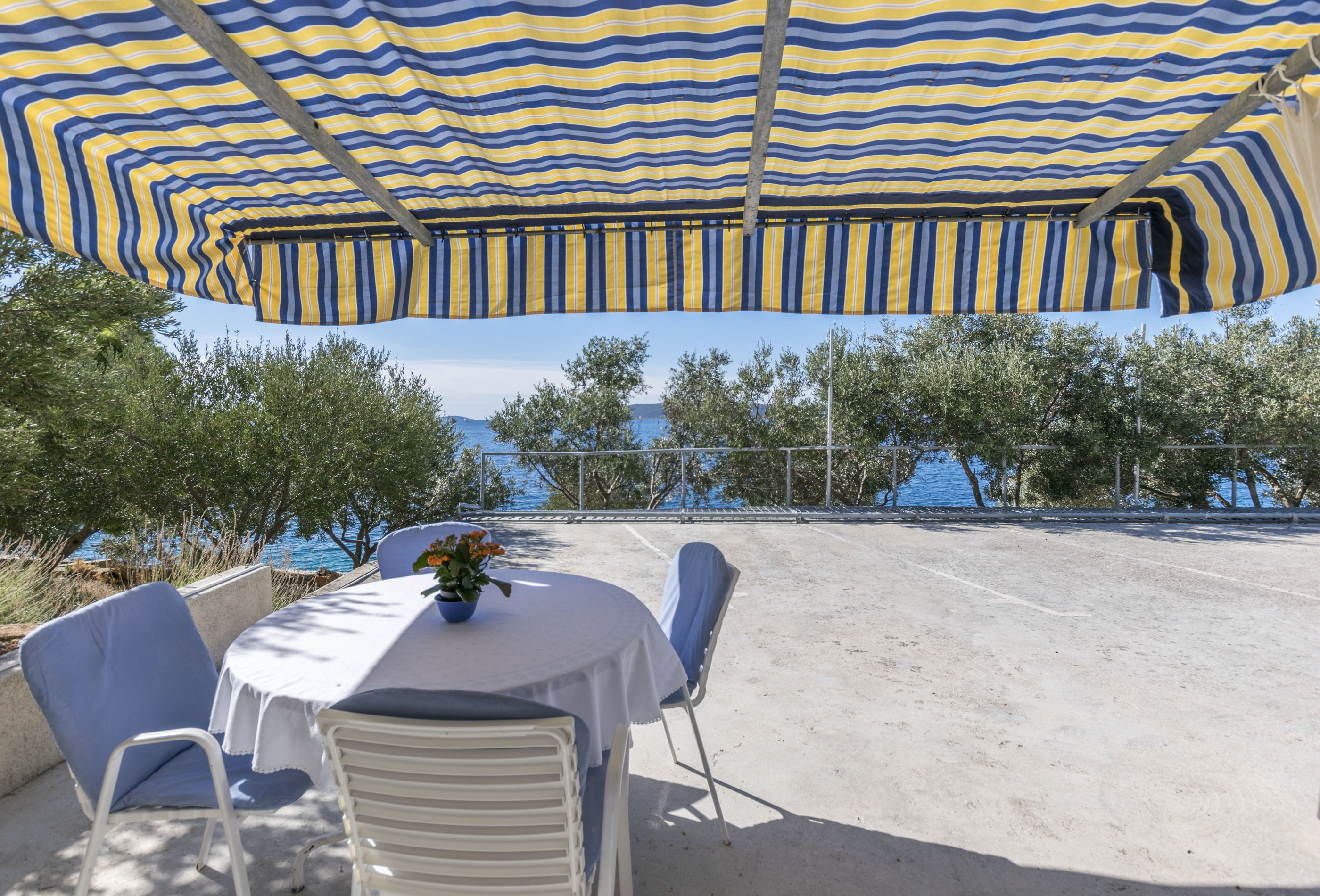 Apartments Dragica 48131-A3