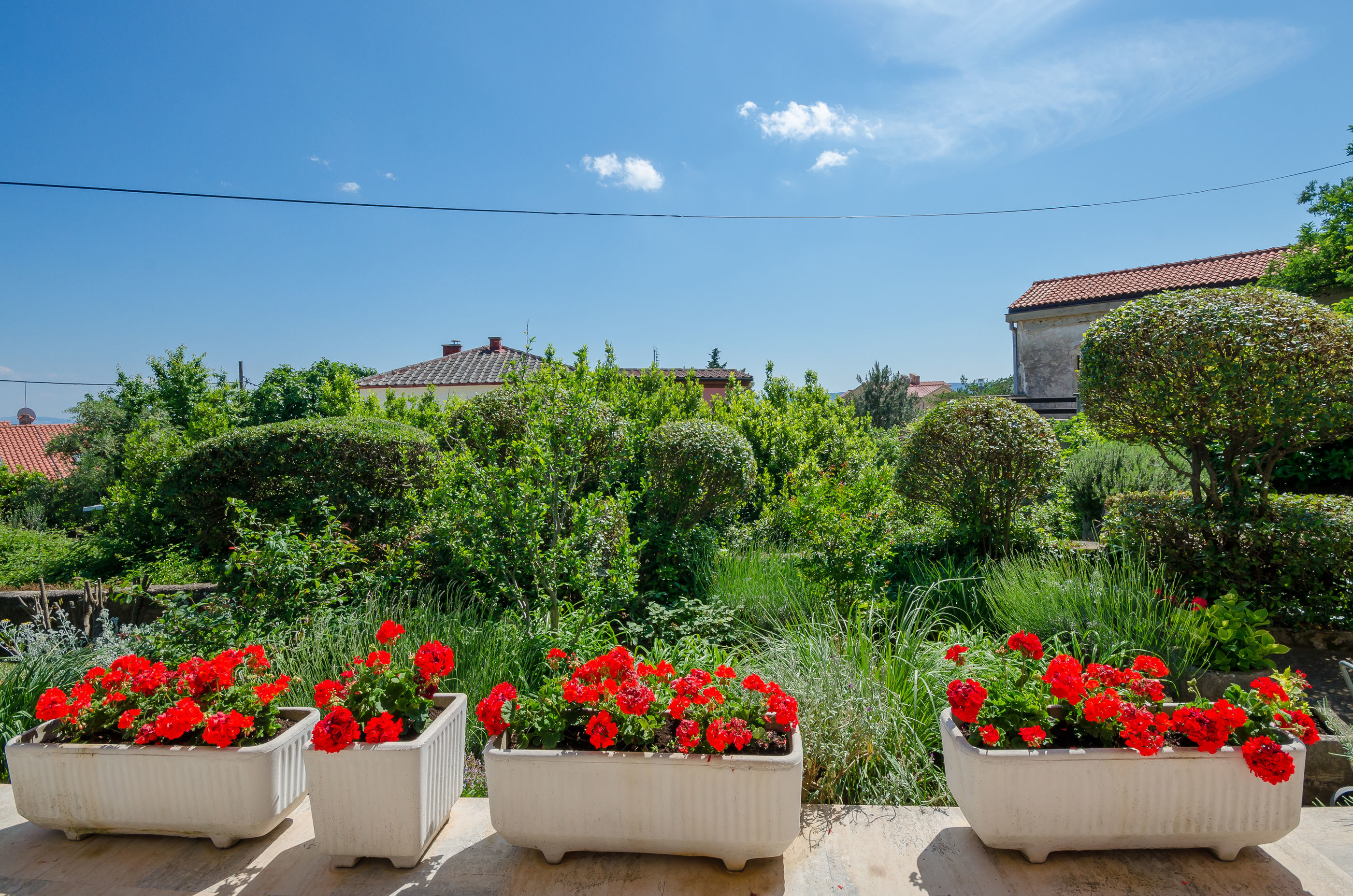 Apartments Lavanda-Kate 86371-A1