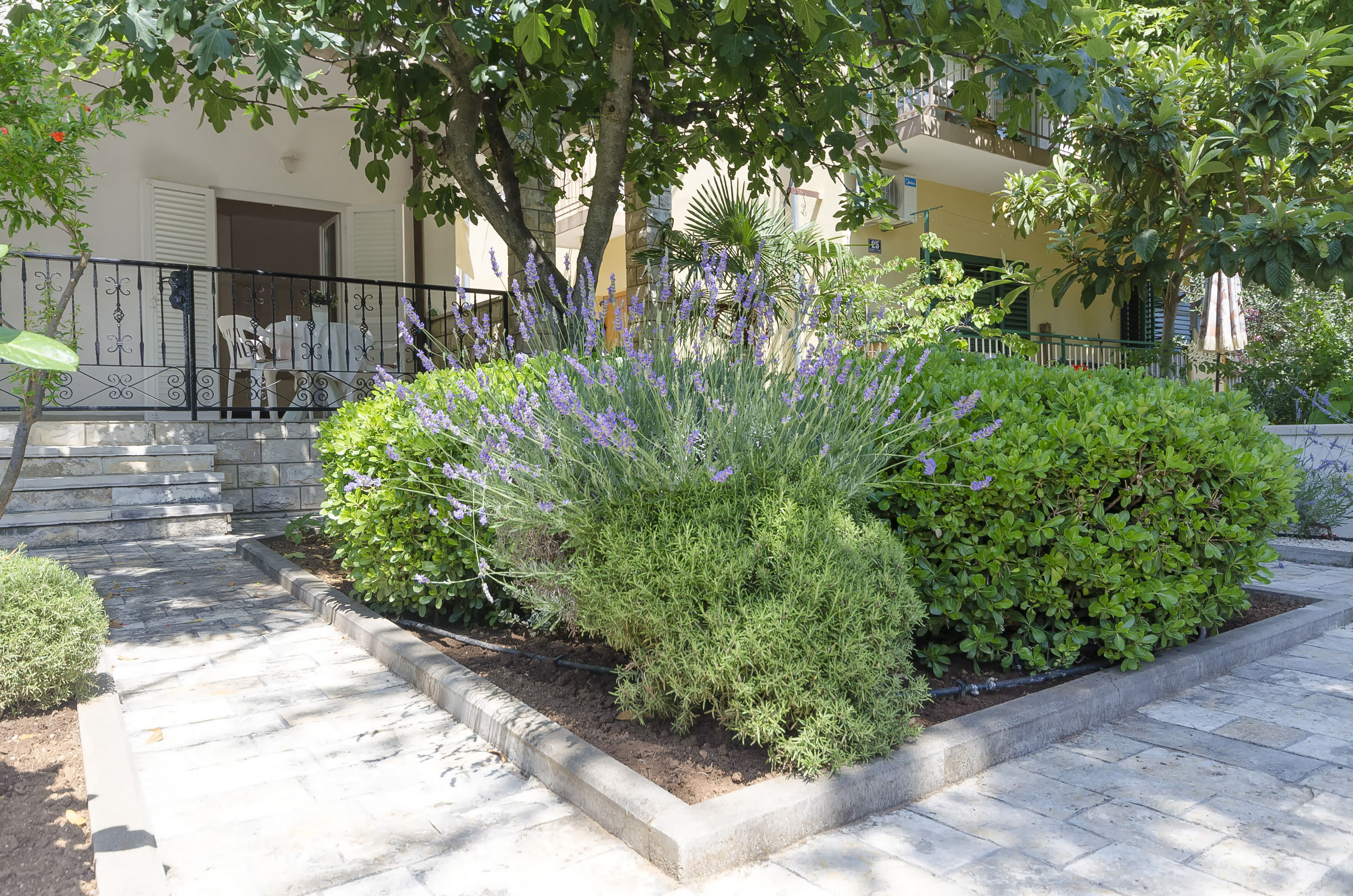 Apartments Karolina 58881-A2