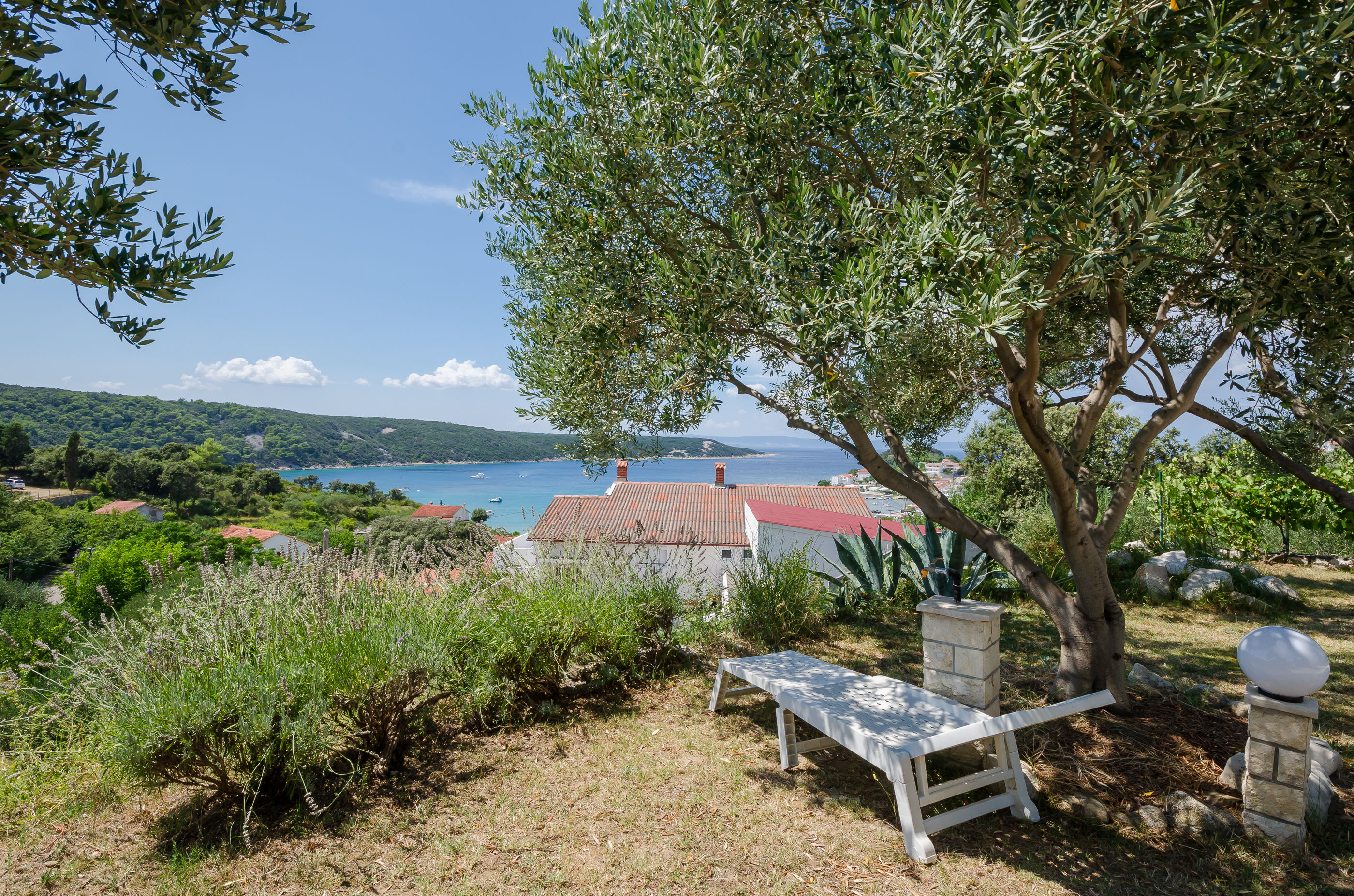 Photo of Apartments Anka