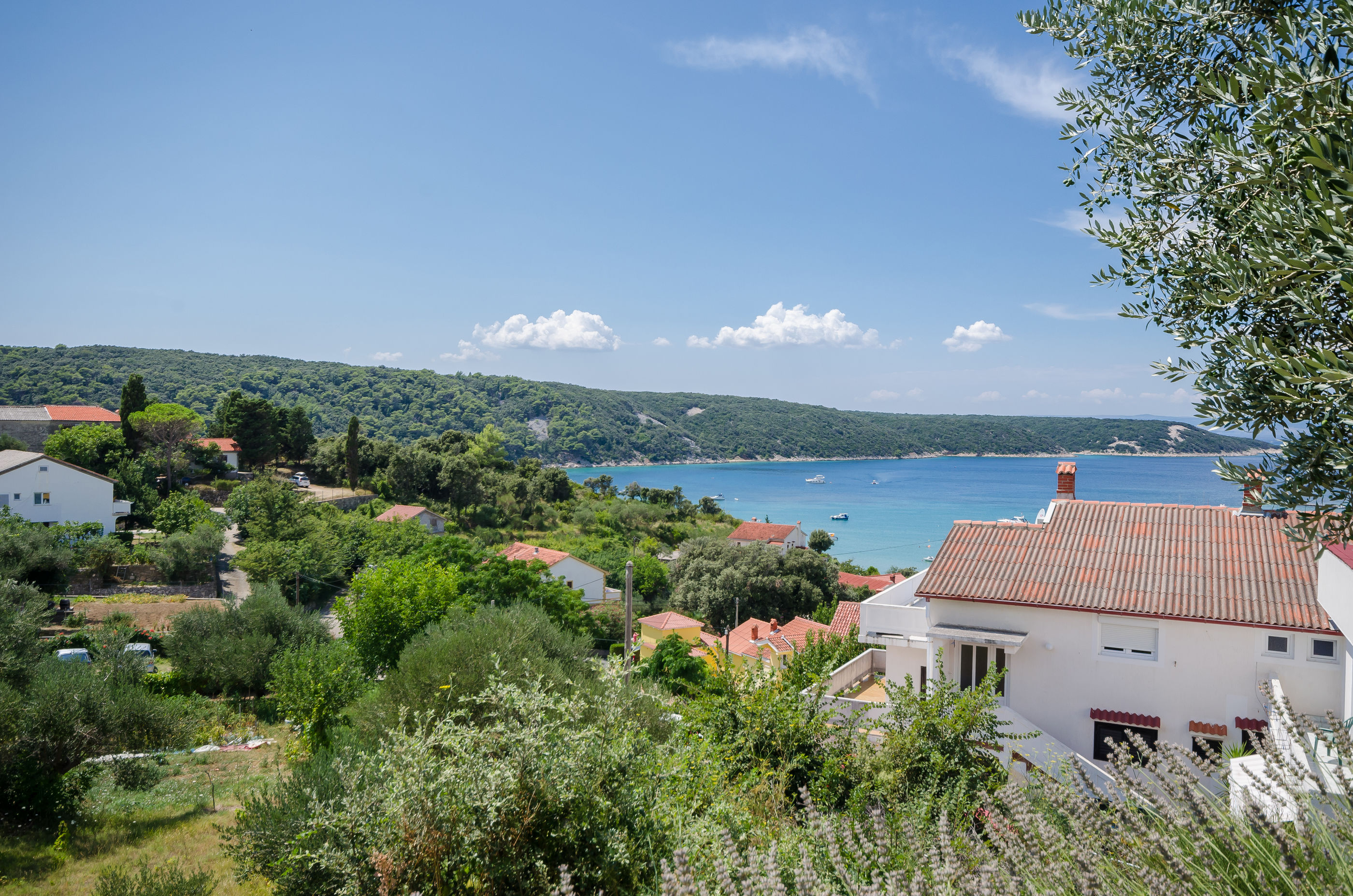 Photo of Apartments Anka