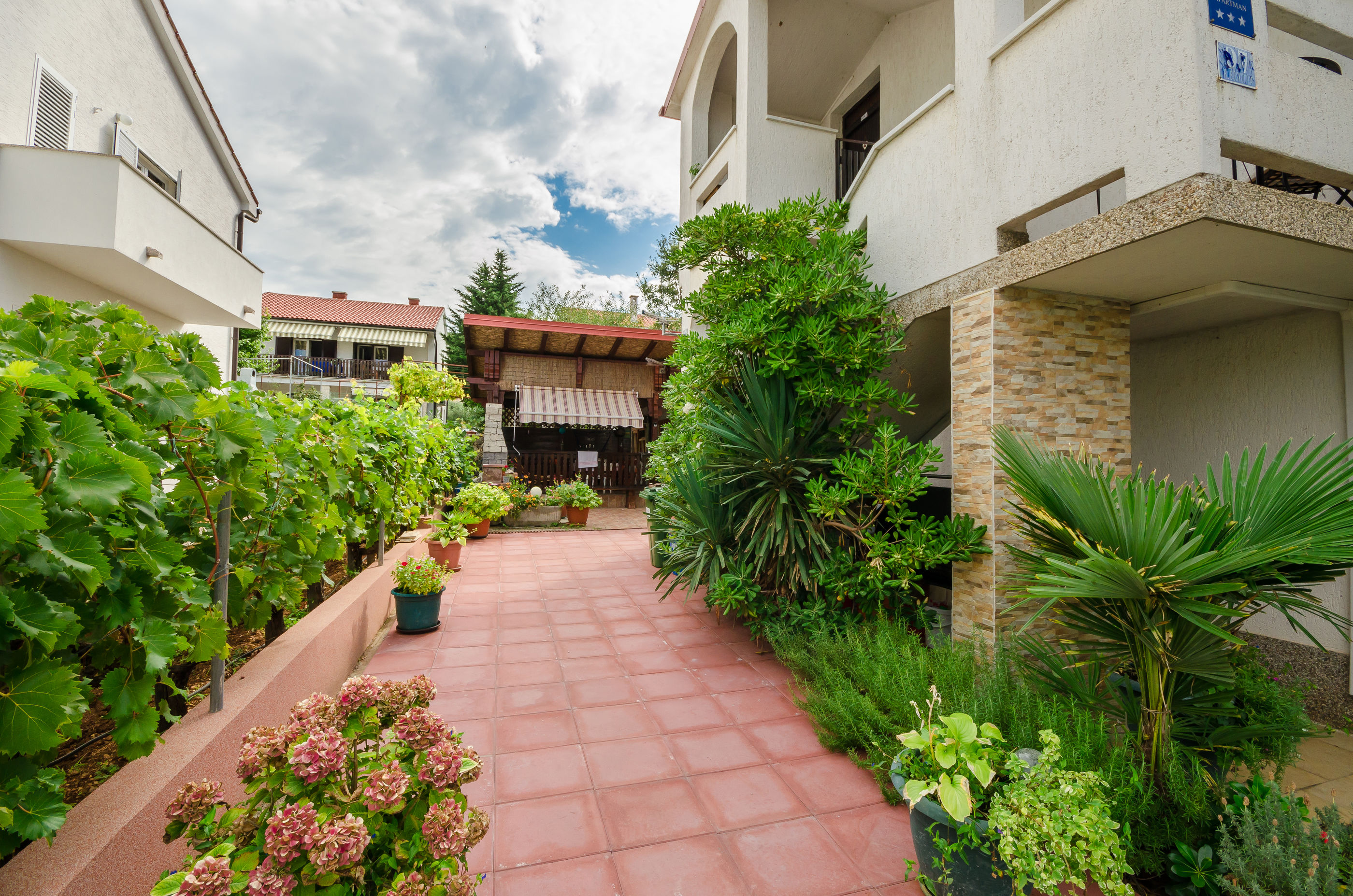 Apartments Branka 35851-A1