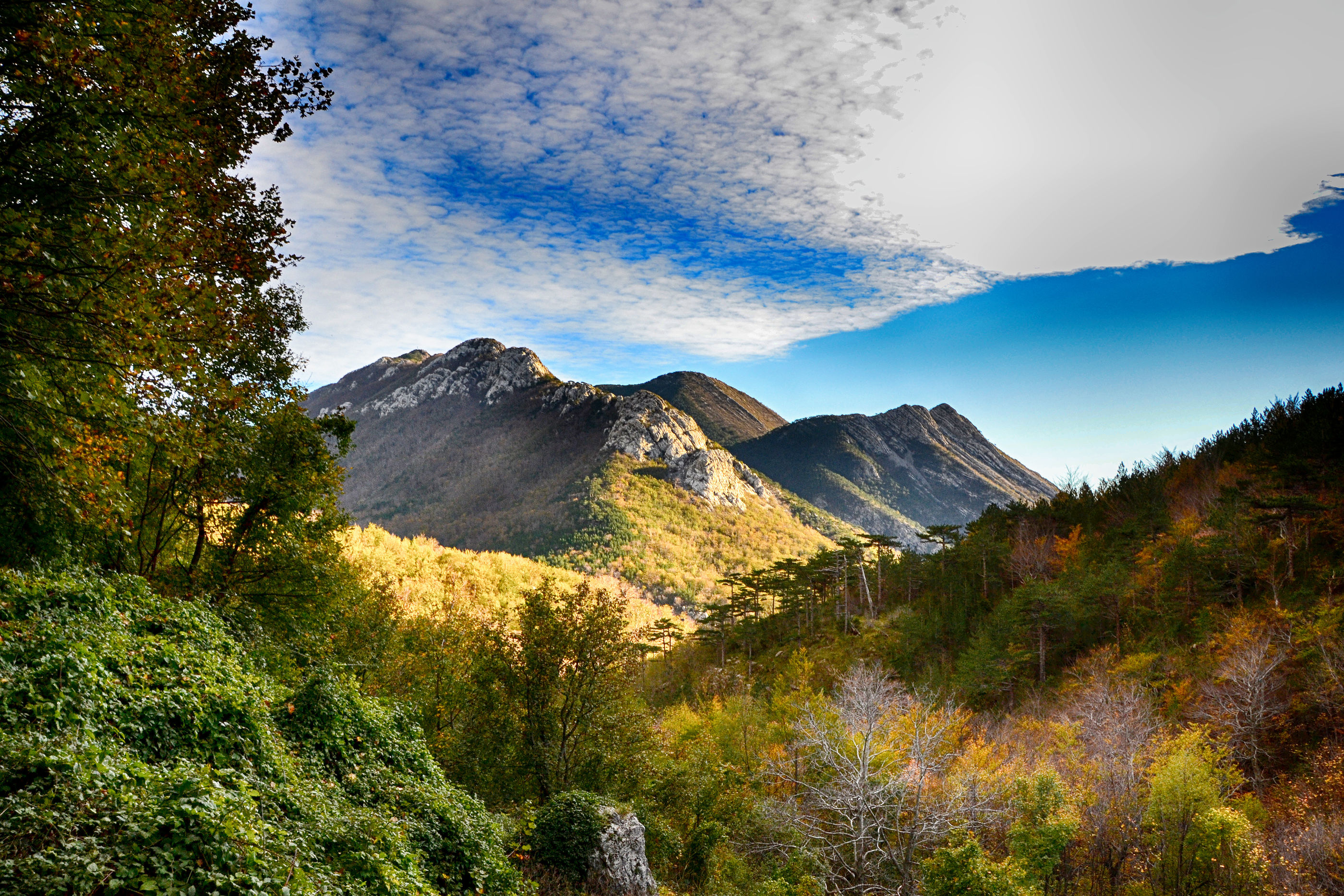 Photo of Apartments SUNSET