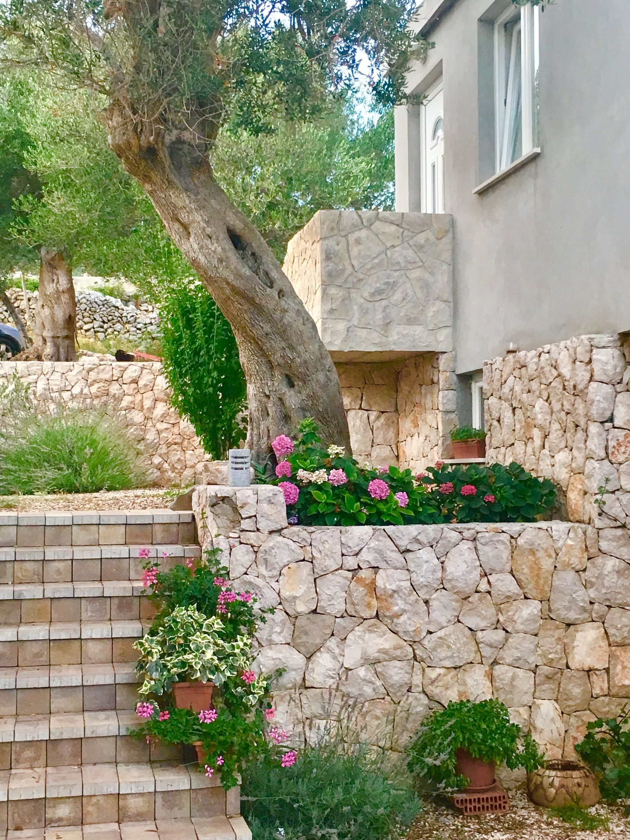 Apartments Suzana 32951-S1