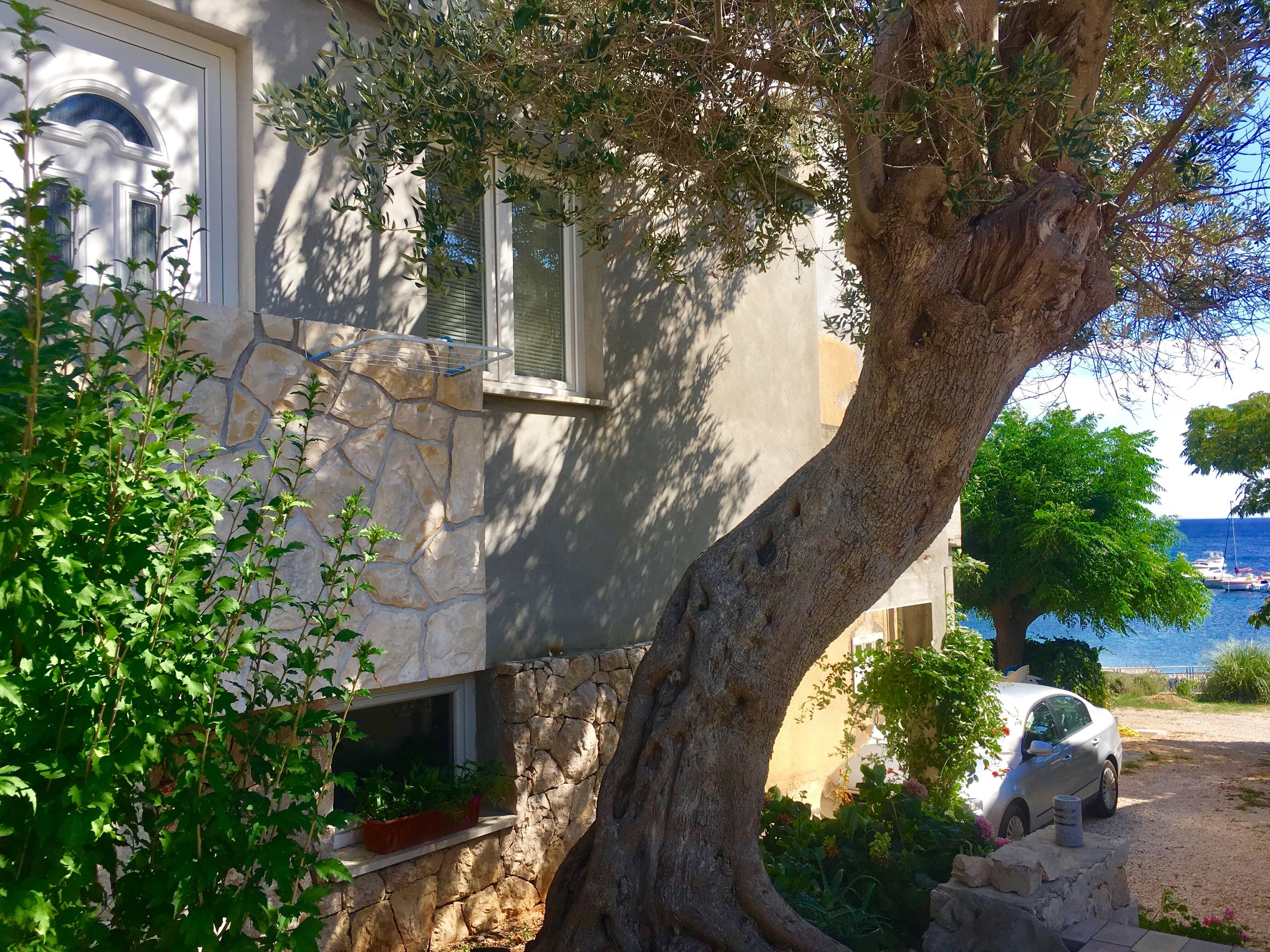 Apartments Suzana 32951-S1
