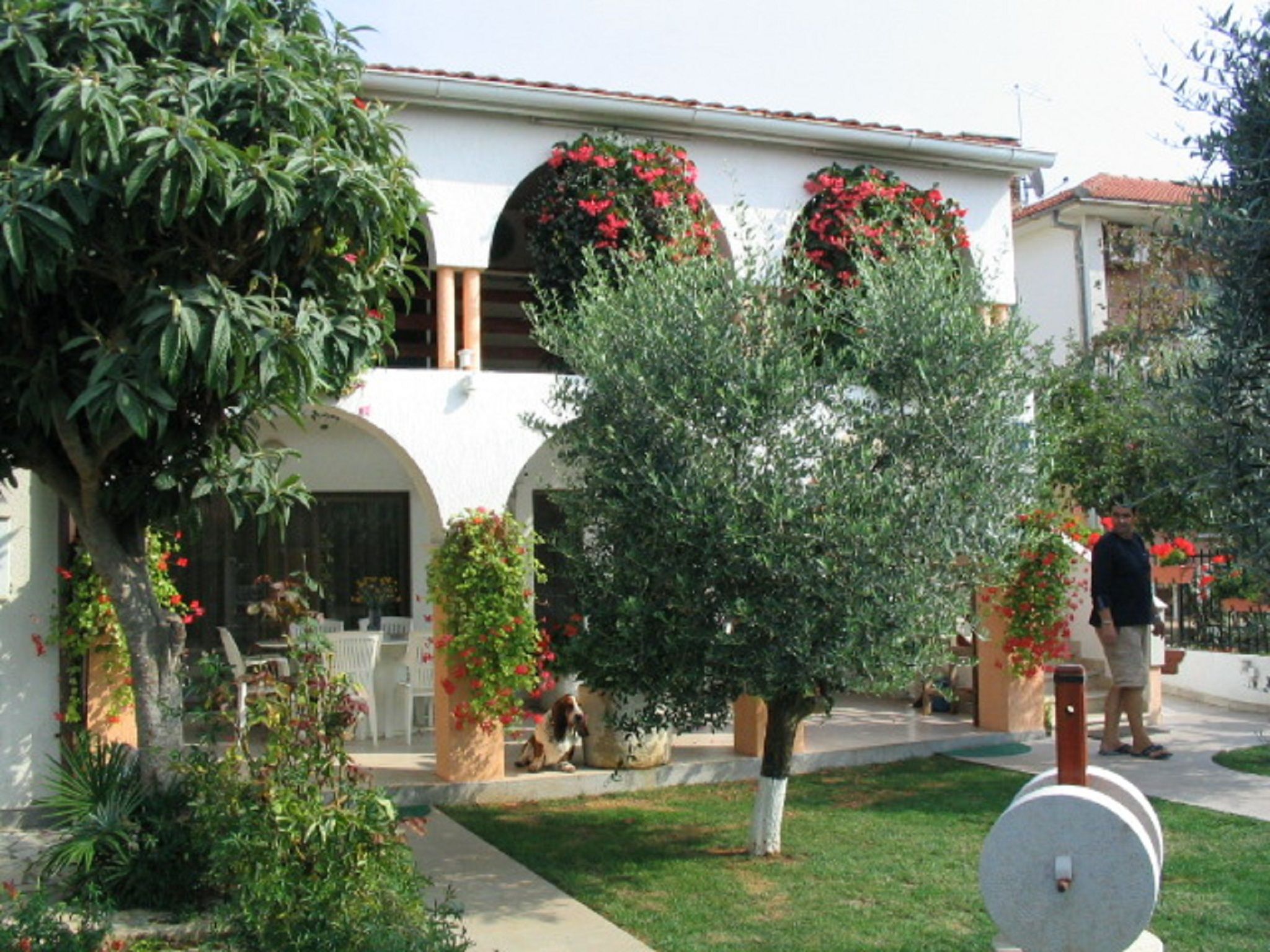 Apartments Matohanac Accommodation in Fazana