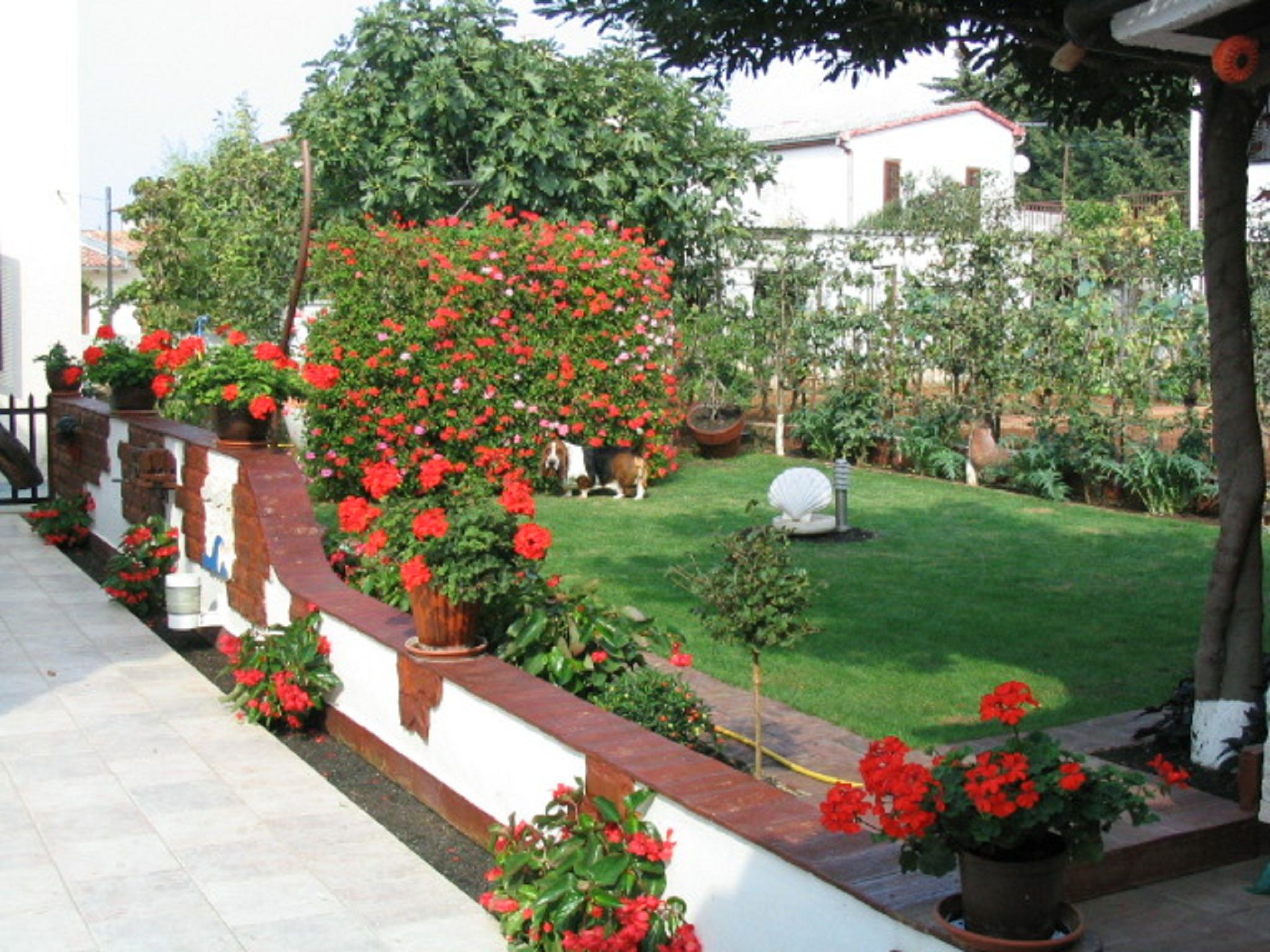 Apartments Matohanac 70151-A2