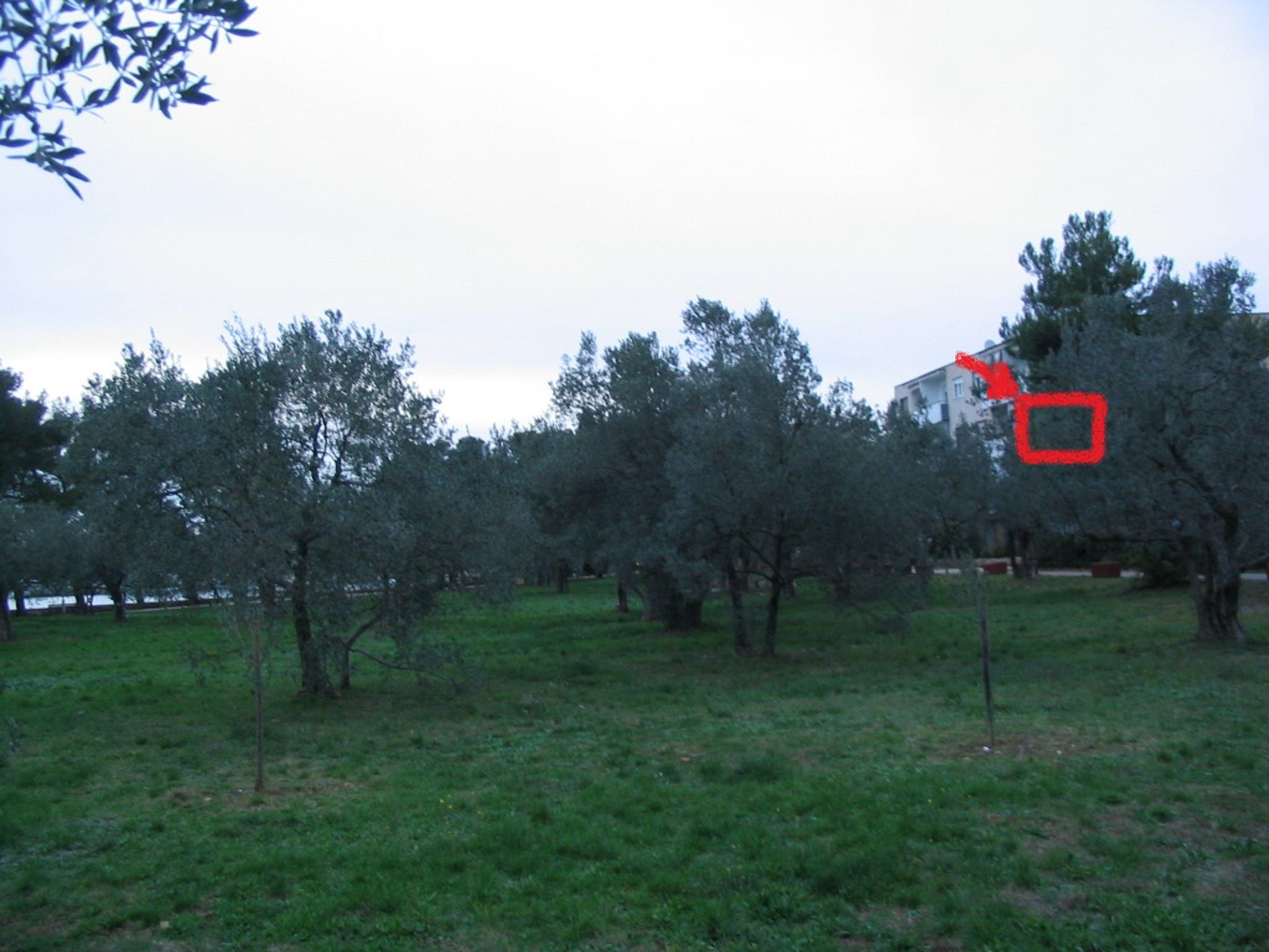 Apartment Oliva 70152-A1
