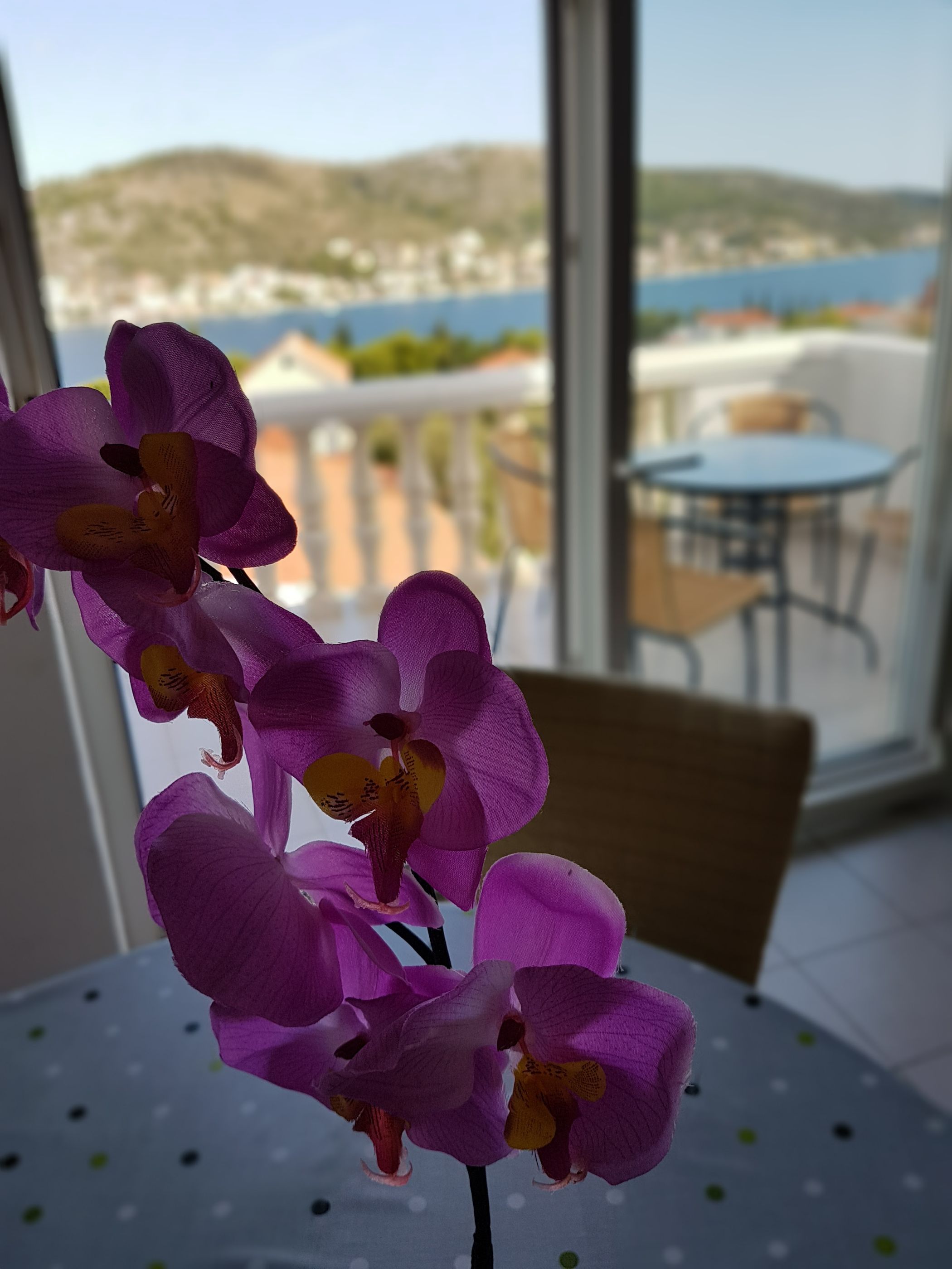Apartments Adriatic 29391-A1