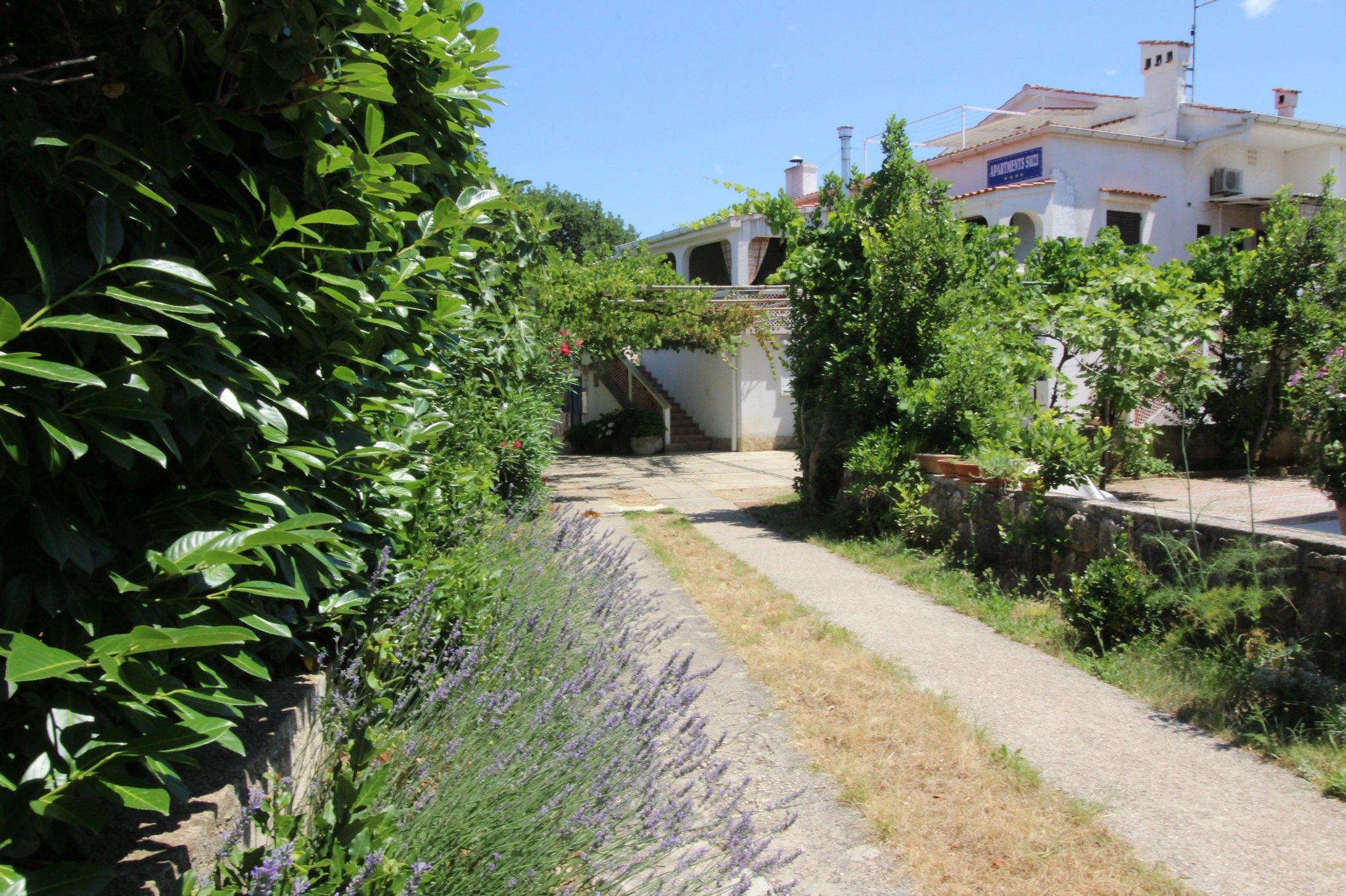 Apartments Anđela 63767-A3