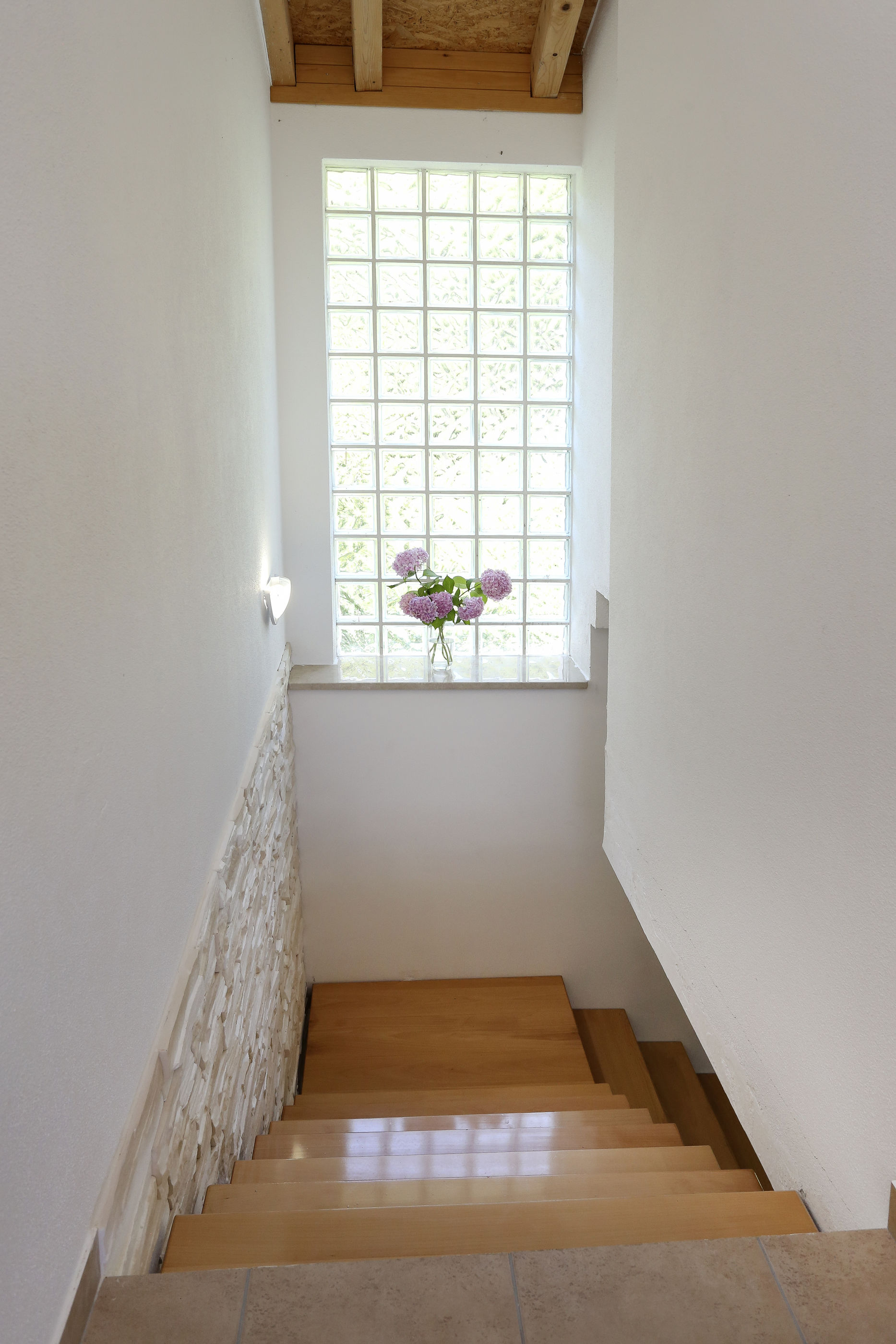 House Marijan 43541-K1