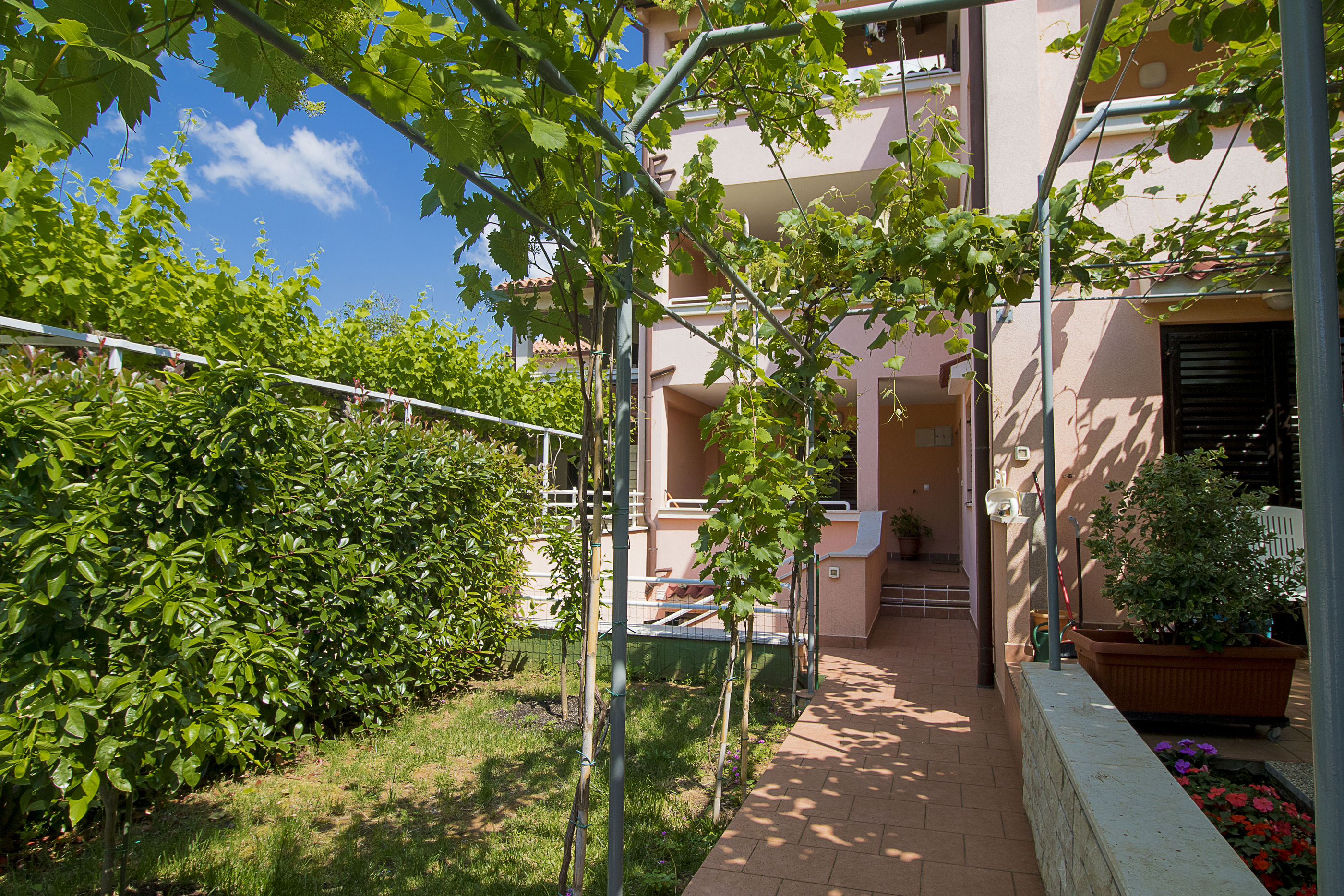Apartments Edo 60341-A3