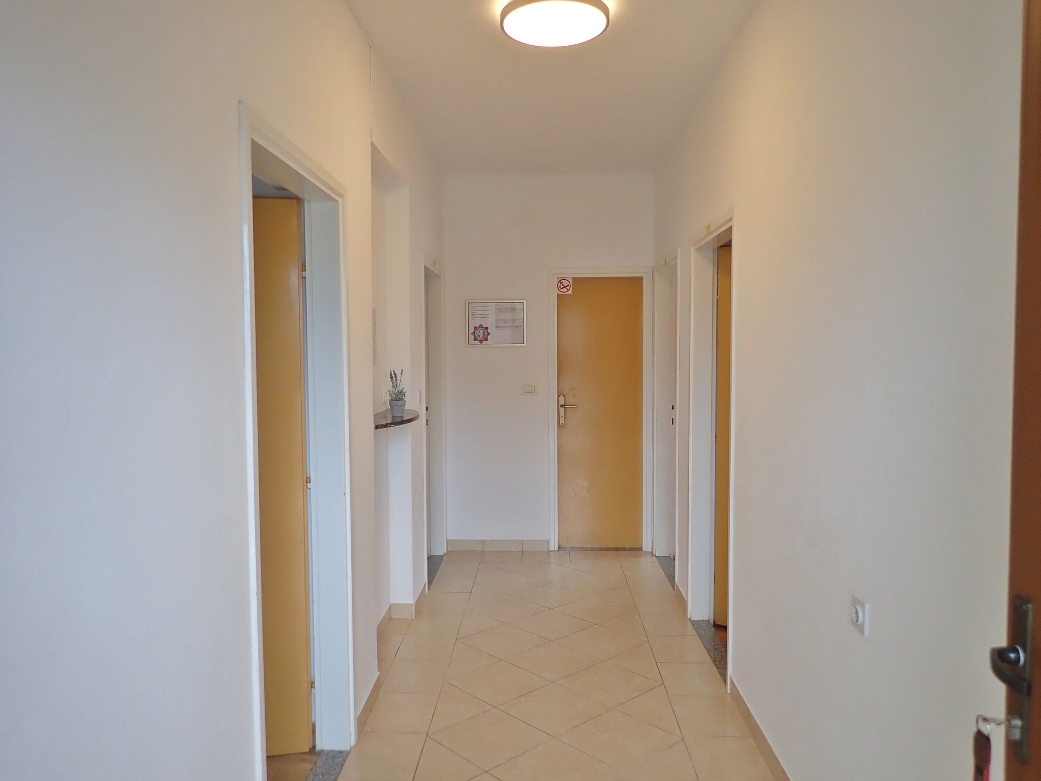 Apartments Sidro-by the sea 41534-A1