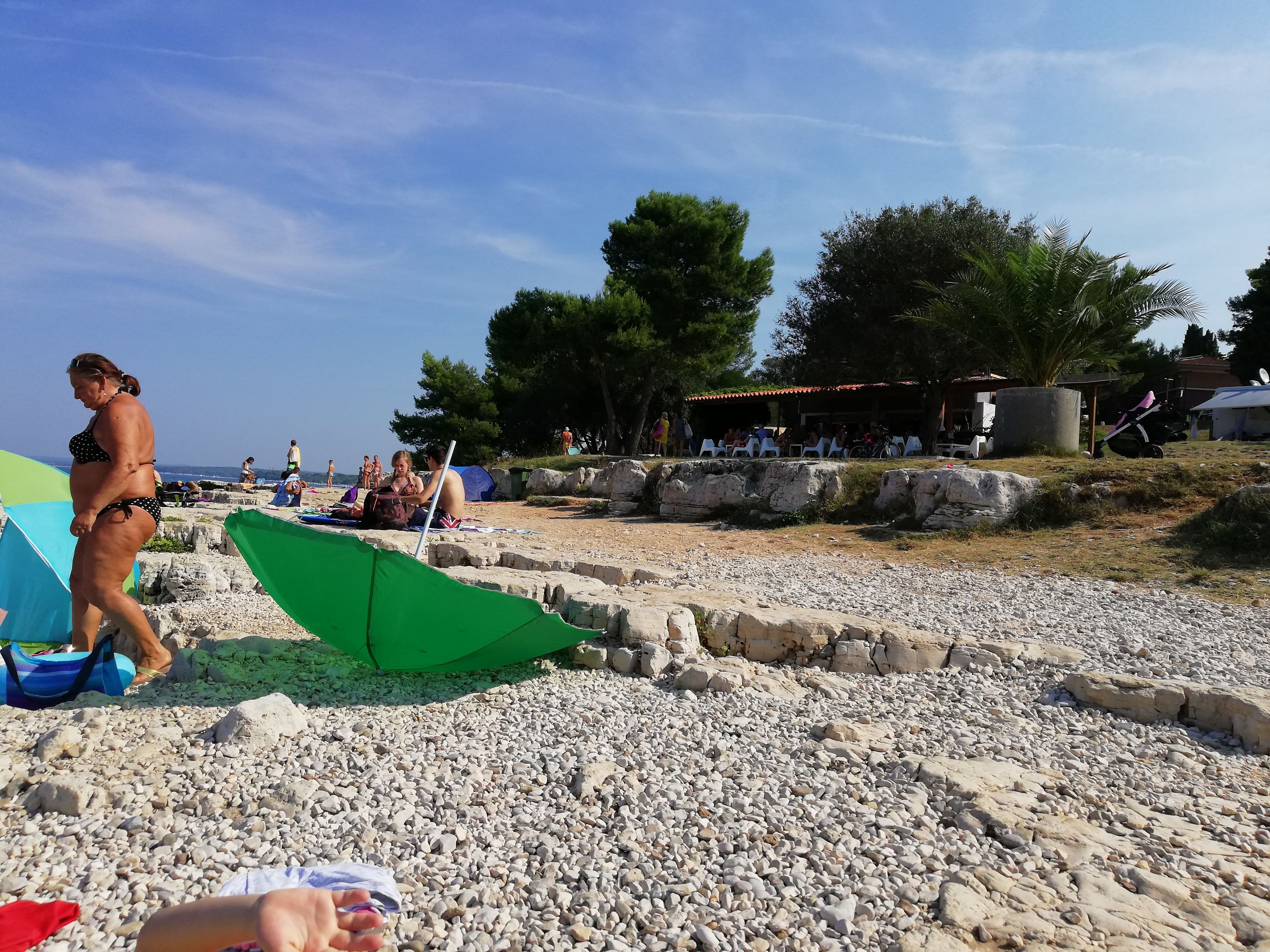 Photo of Apartments Edo