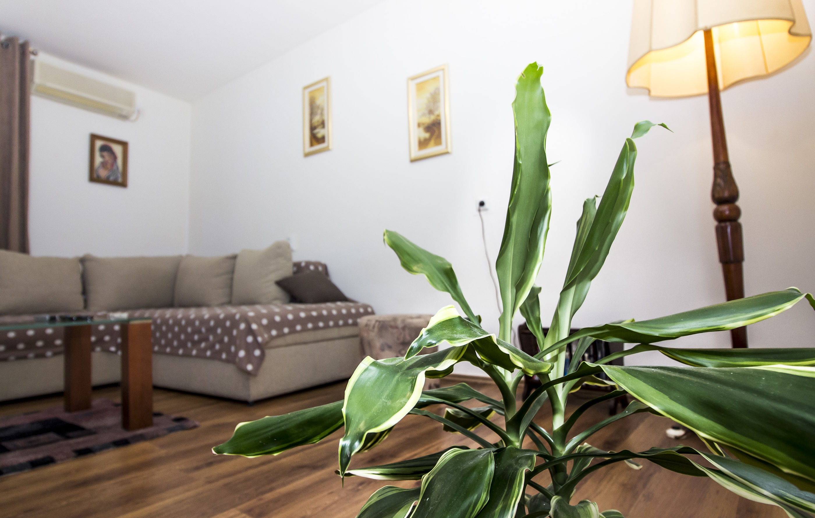 Apartment Barakuda 54598-A1