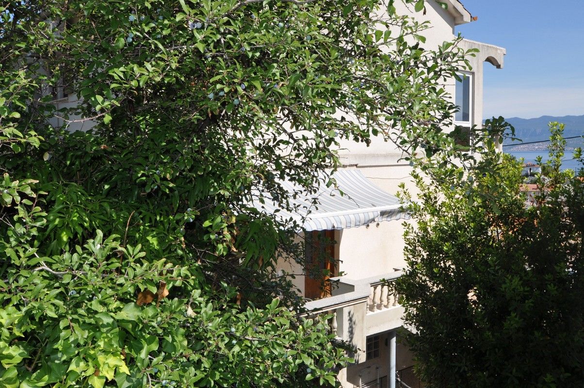 Apartment Dorica 63802-A1