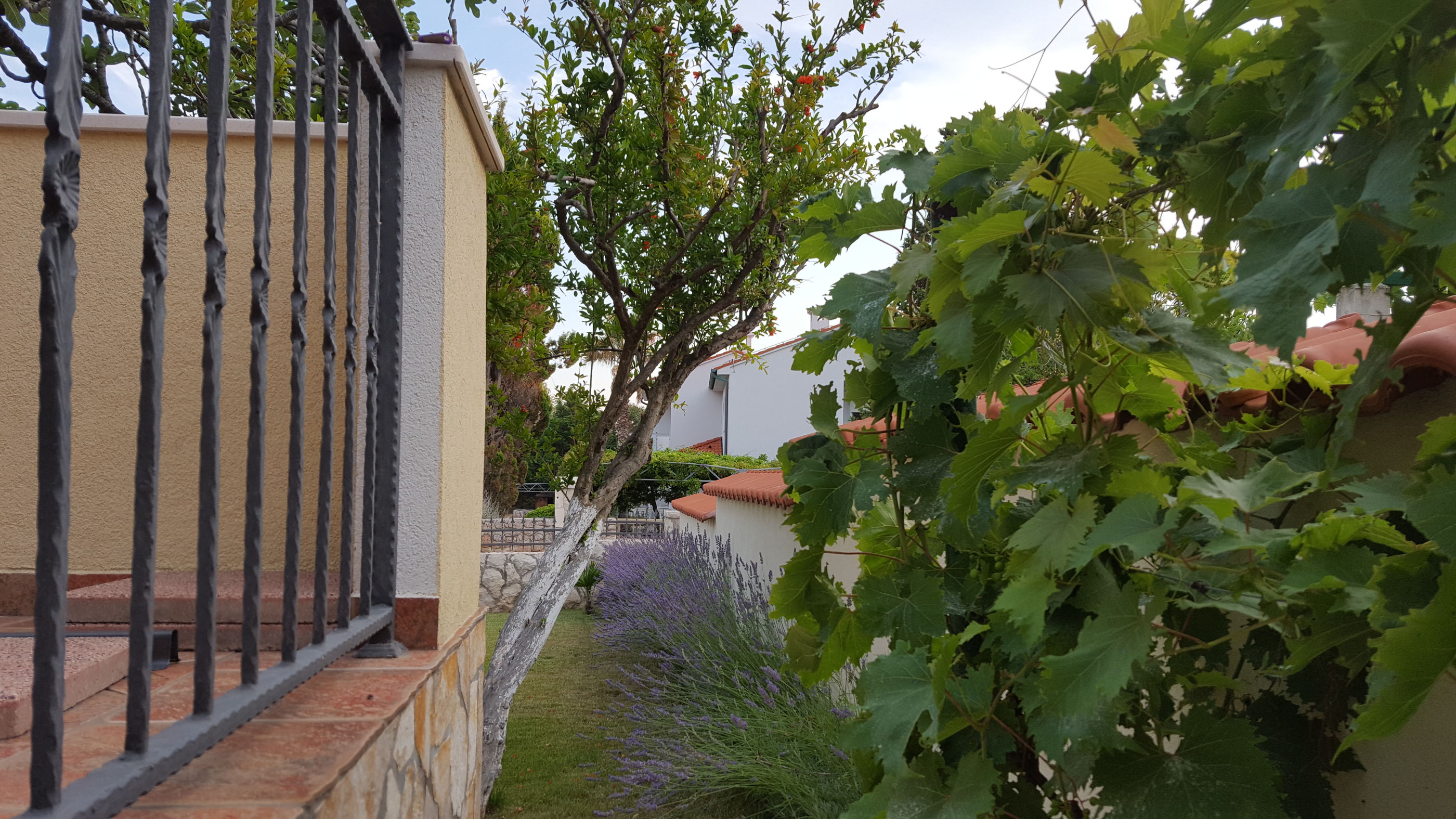 House LAVANDA 61361-K1