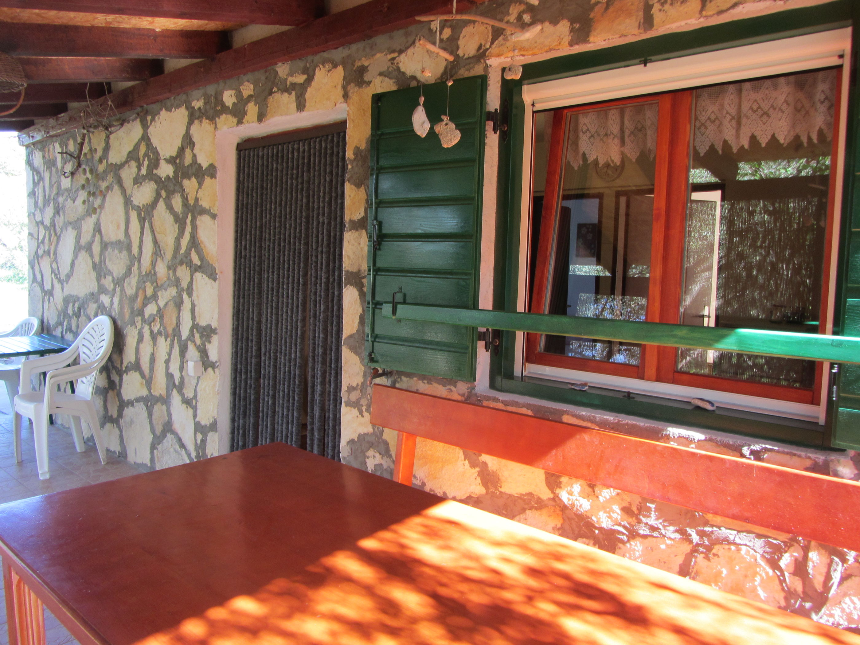 House Olive Tree 14641-K1