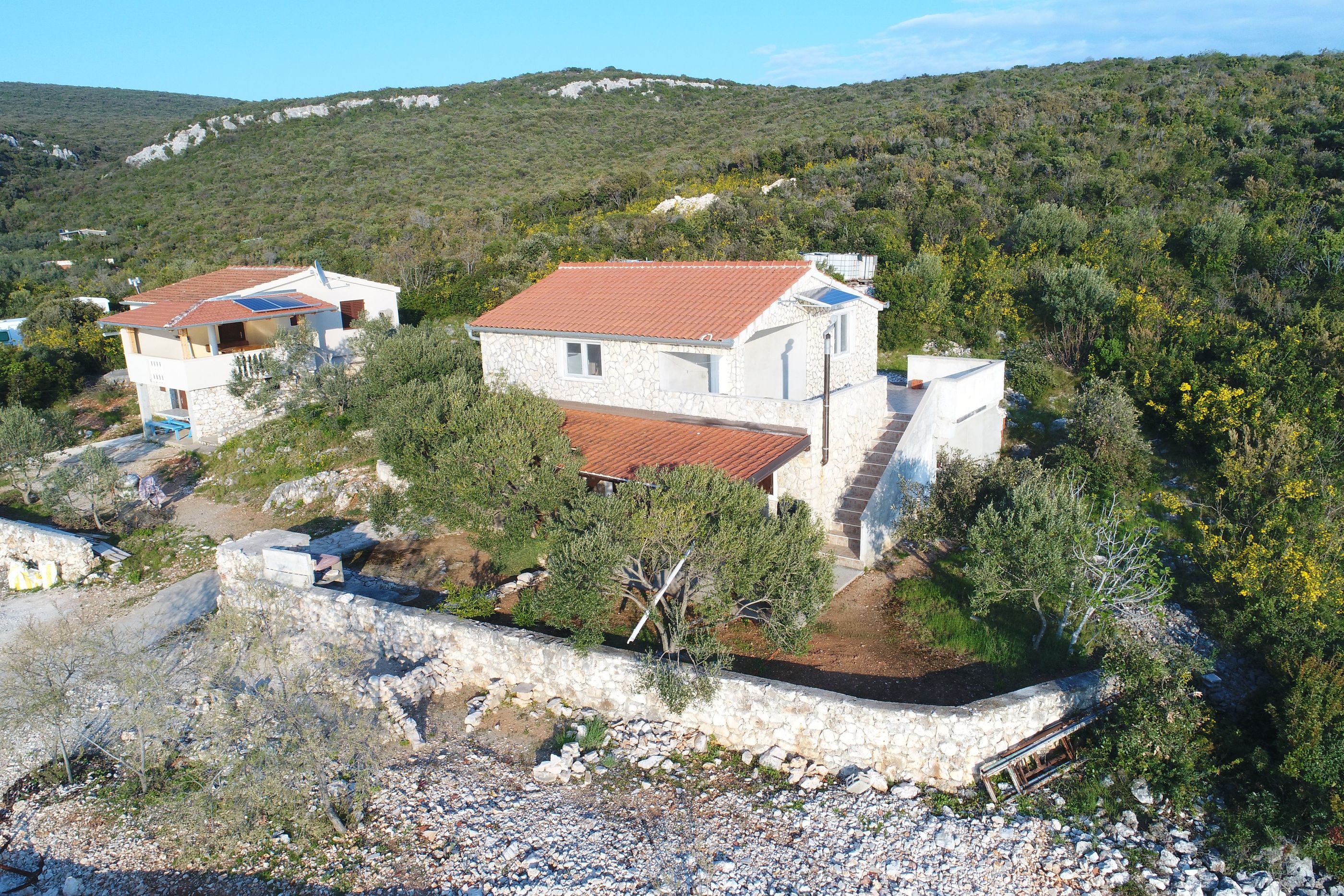 House Dolphin 23771-K1