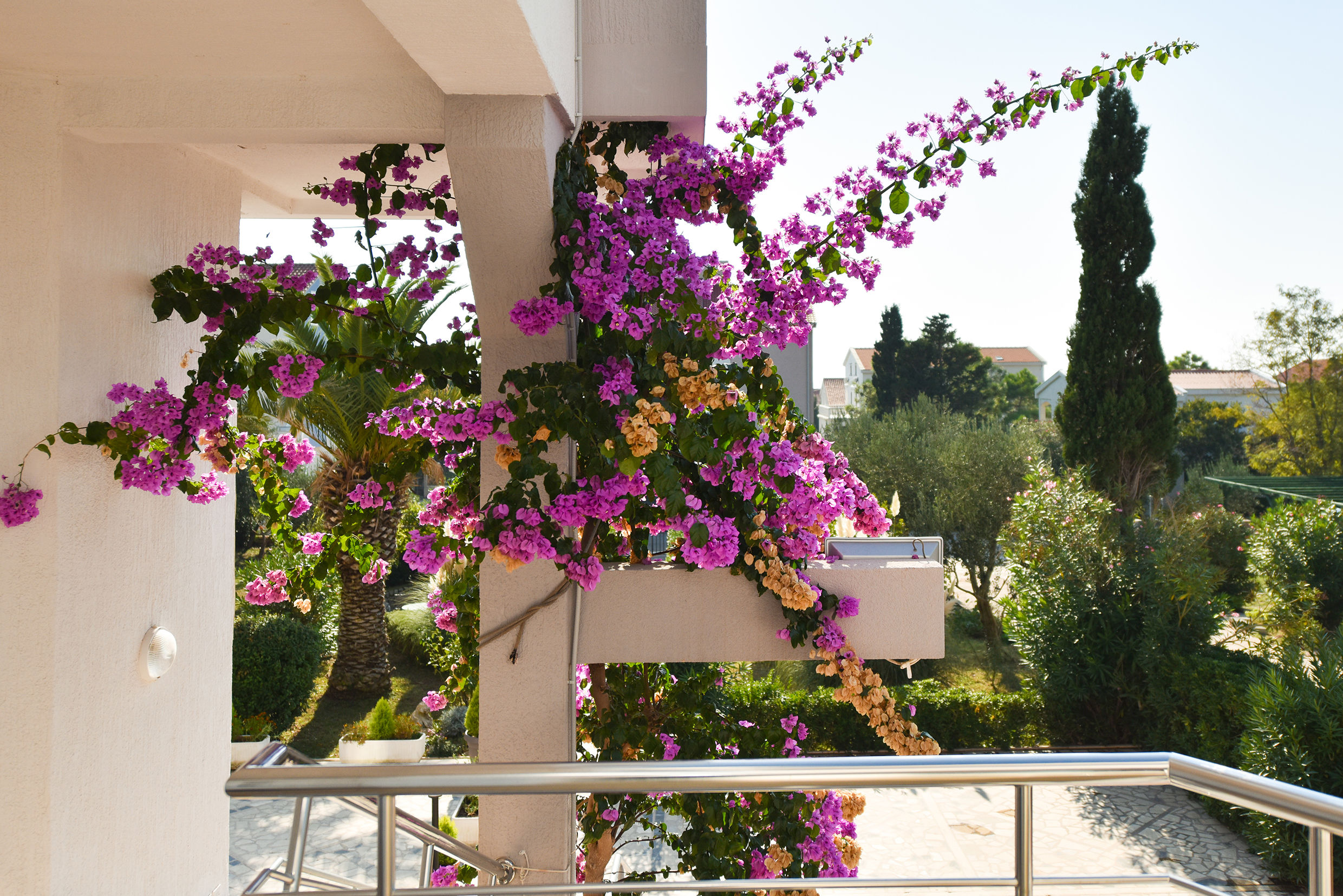 Apartments Villa Daniela 59101-A3