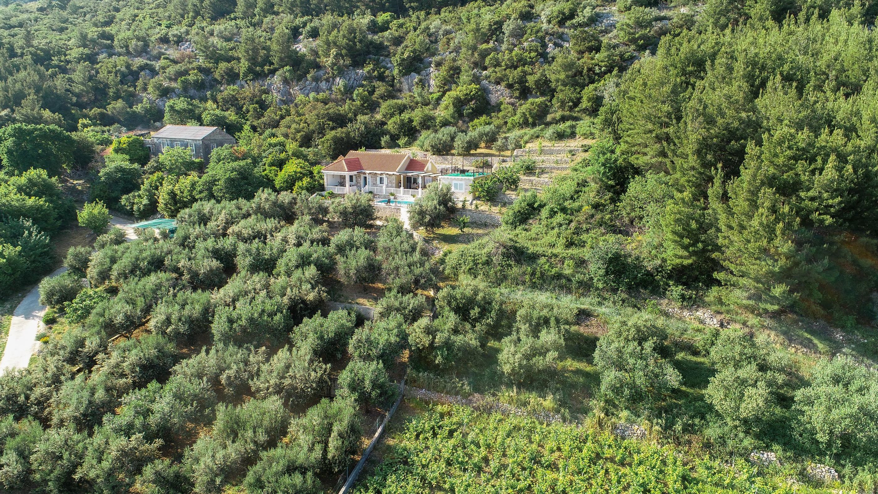Villa Natura 25636-K1