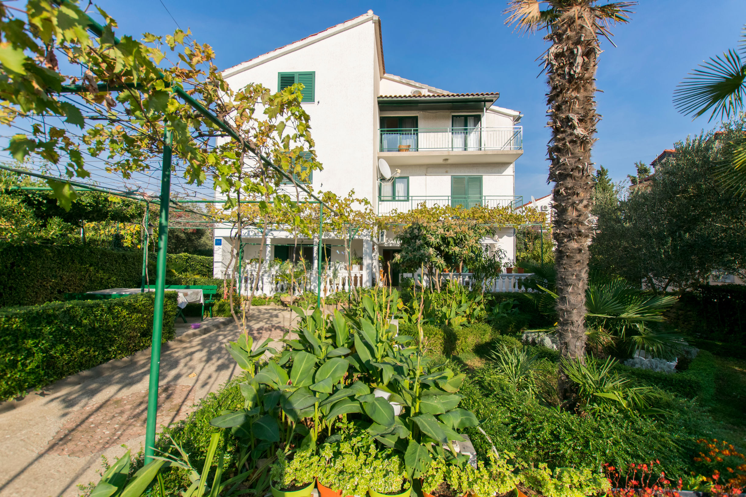 Apartments Branko 11421-A4