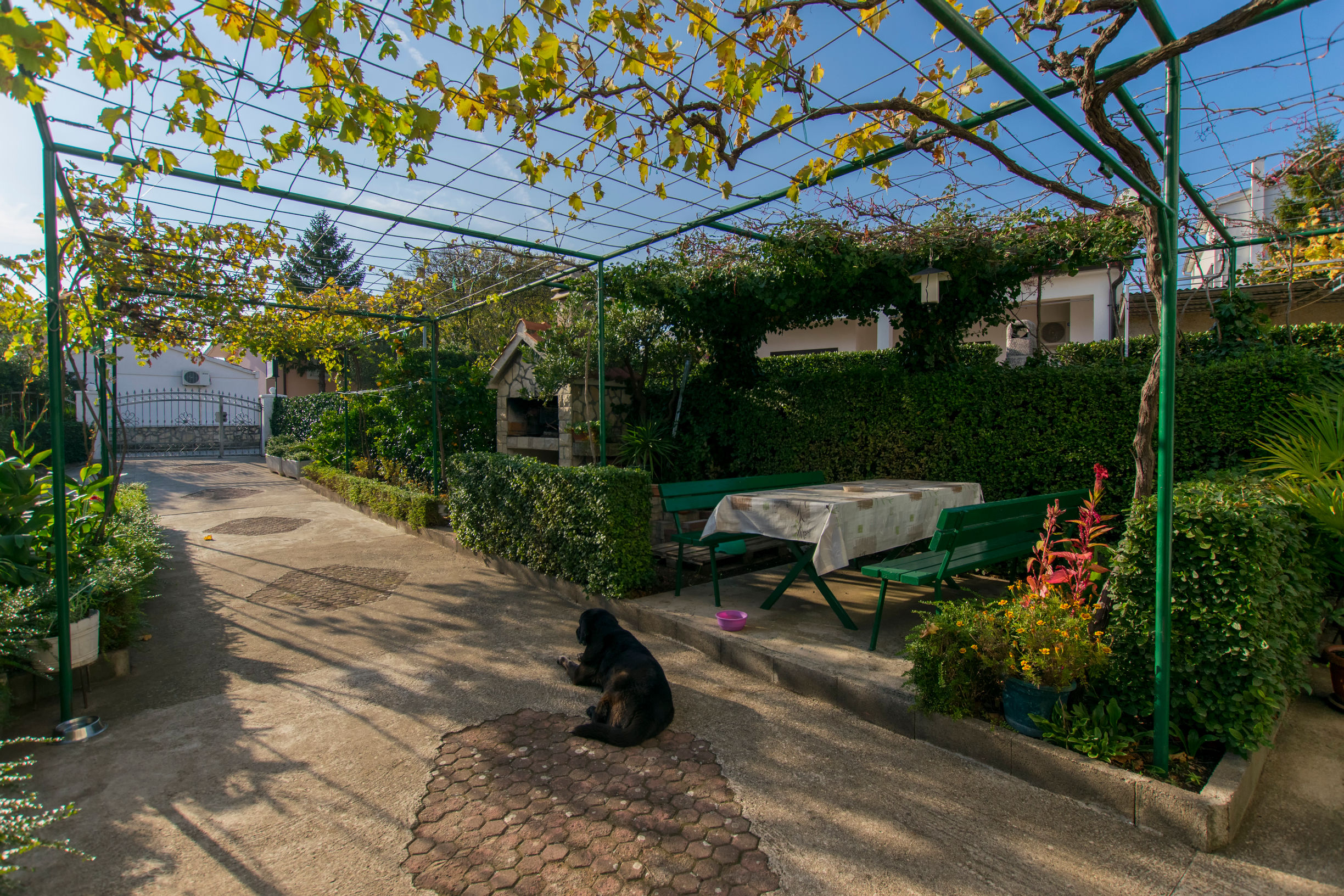 Apartments Branko 11421-A4