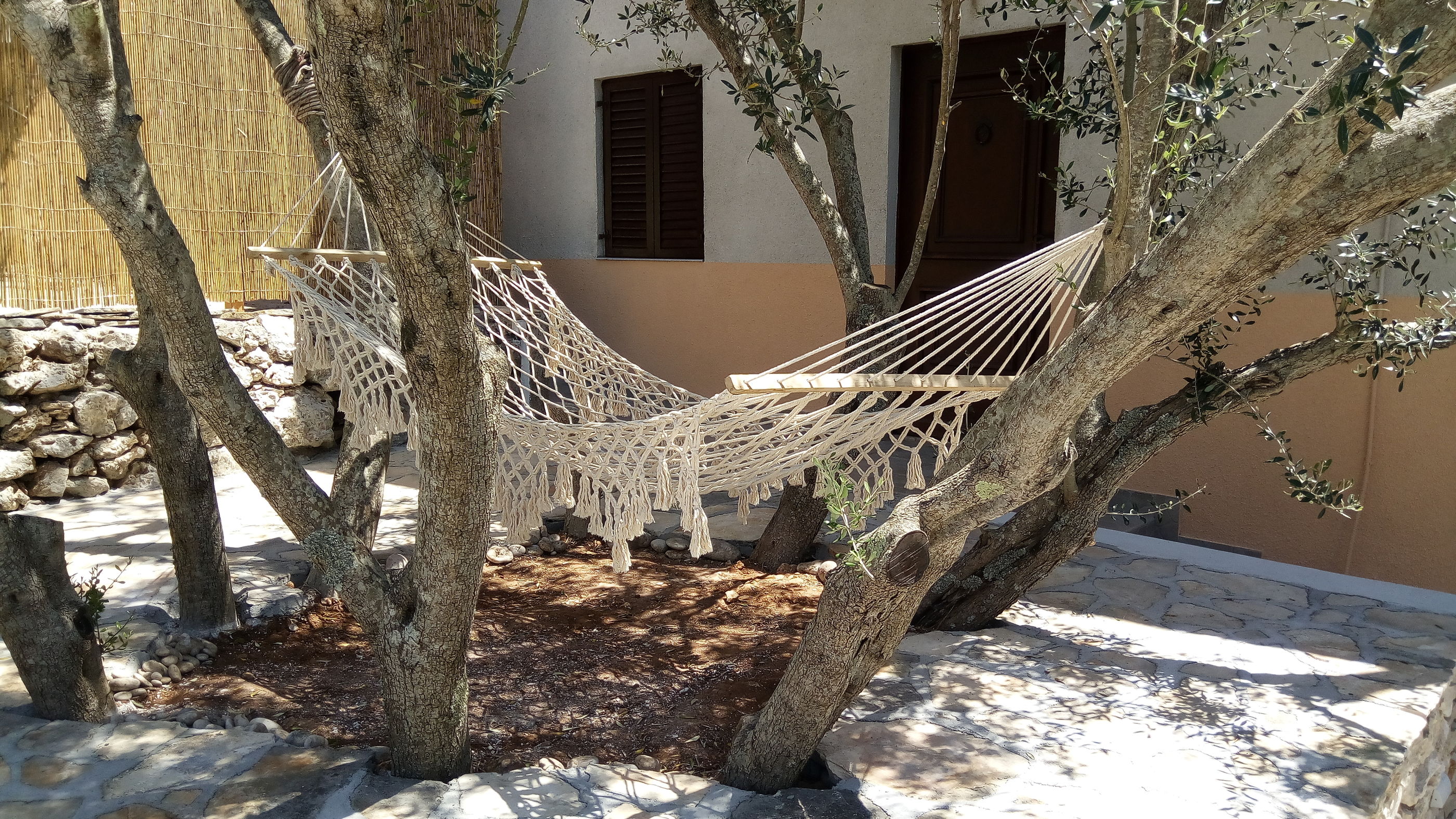 Photo of Apartments Franica