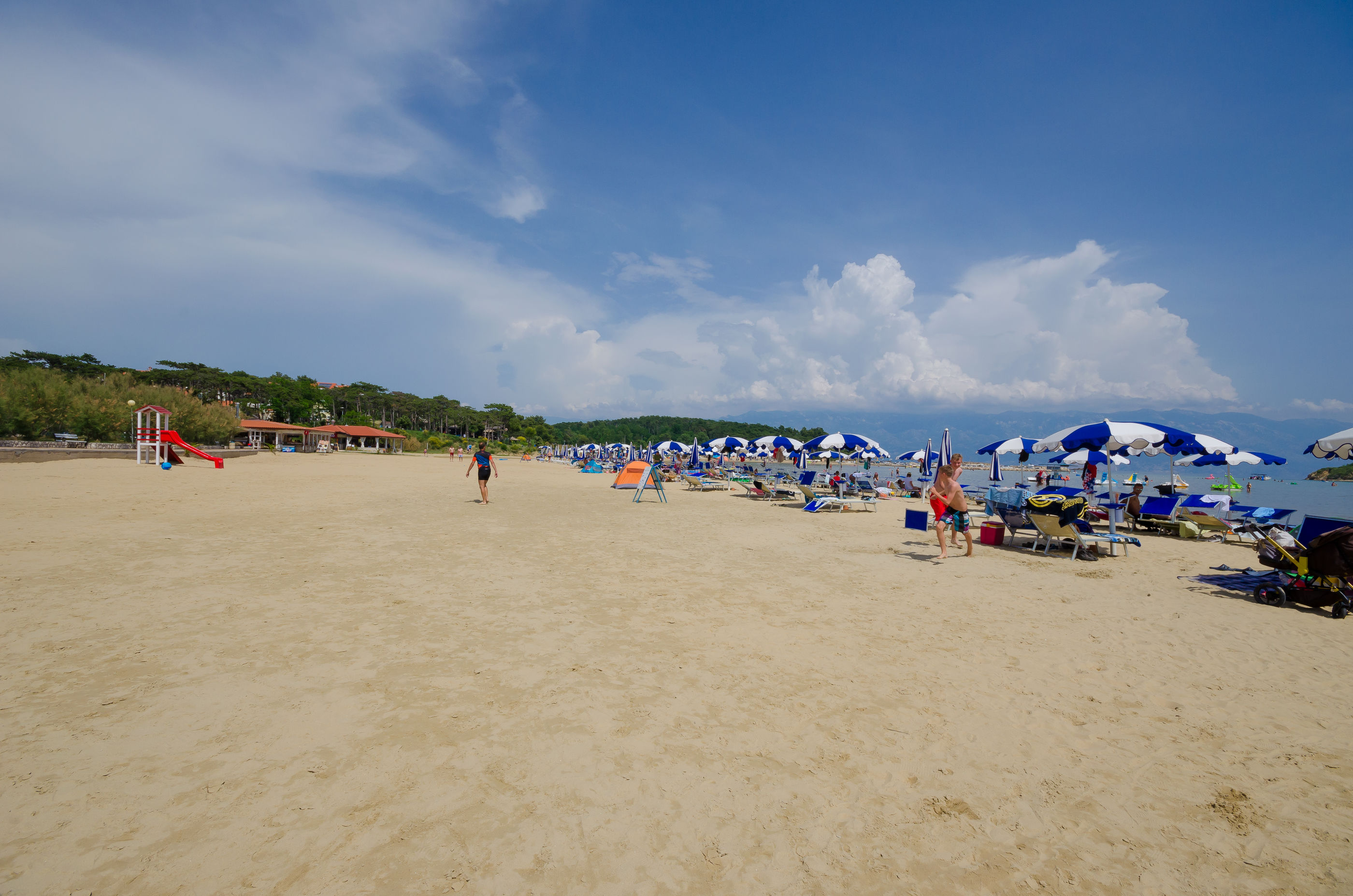 Photo of Apartments Borka