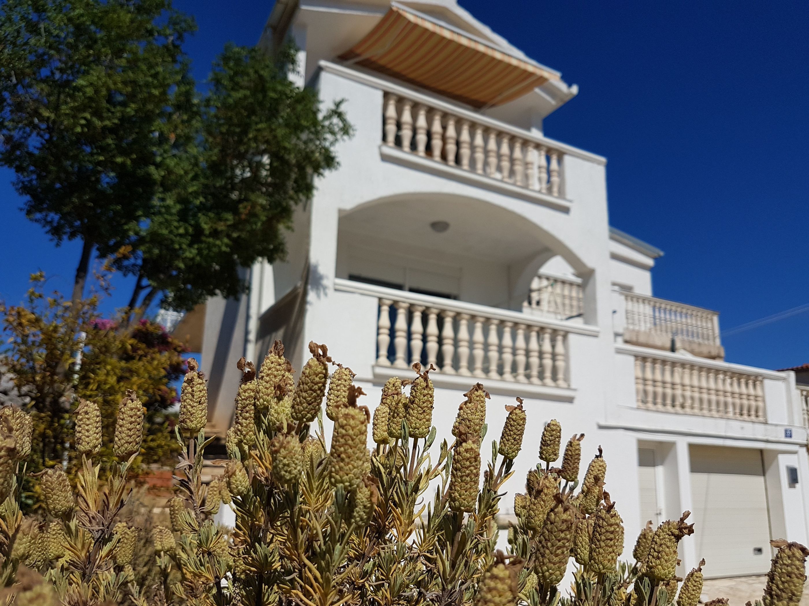 Apartments Adriatic 29391-A1