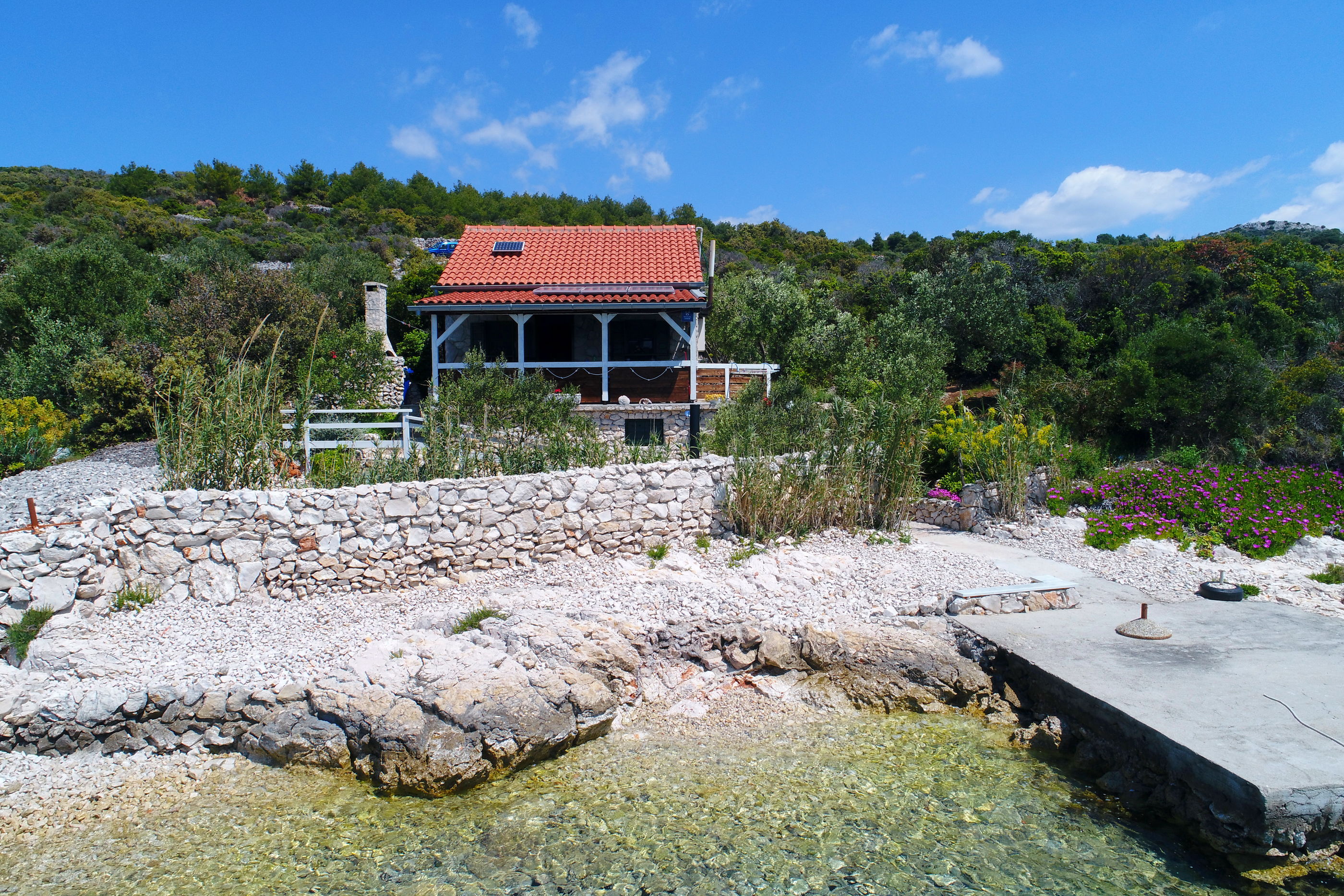 House Starfish K1
