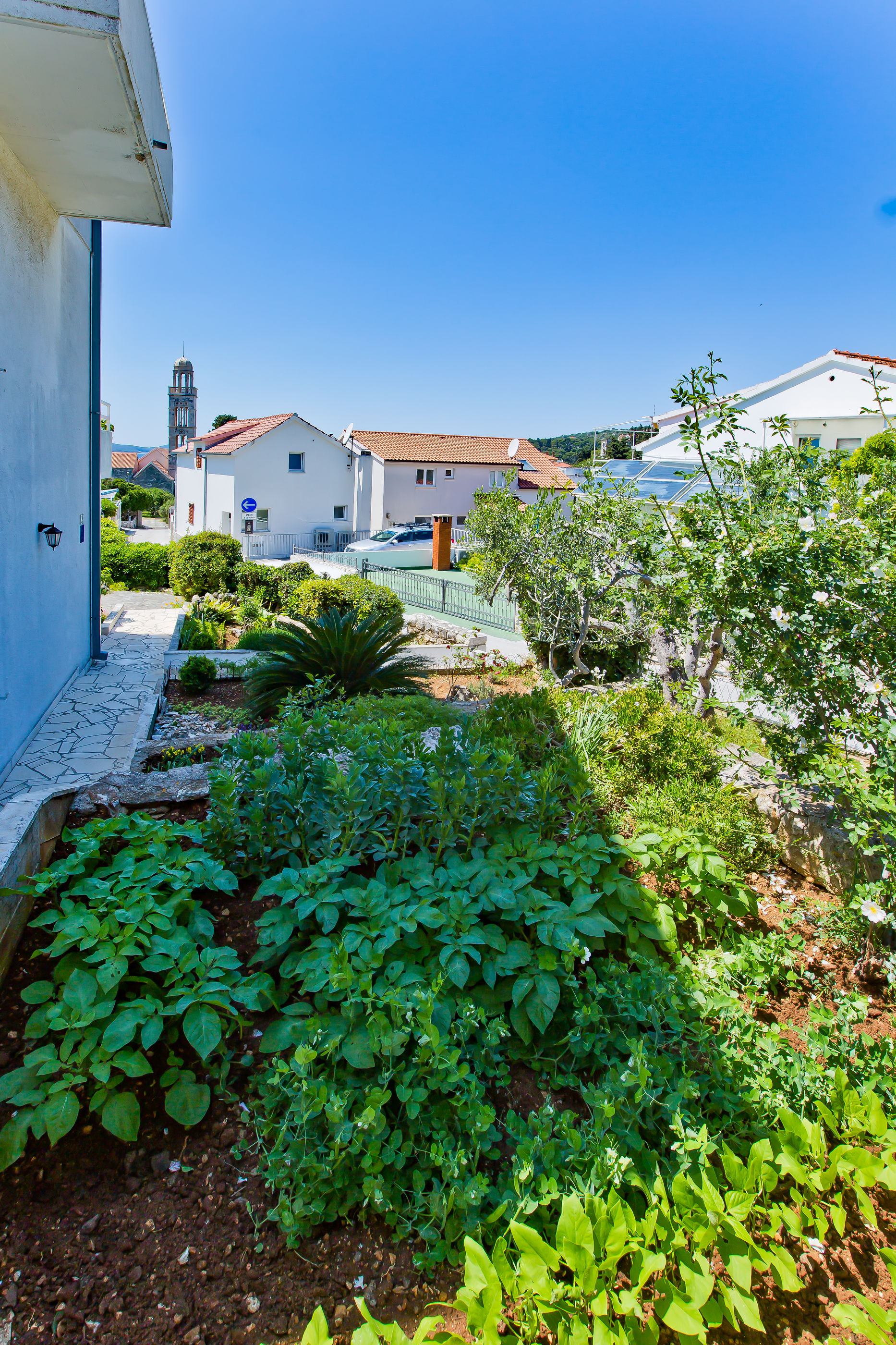 Apartments Jacky 36561-A6