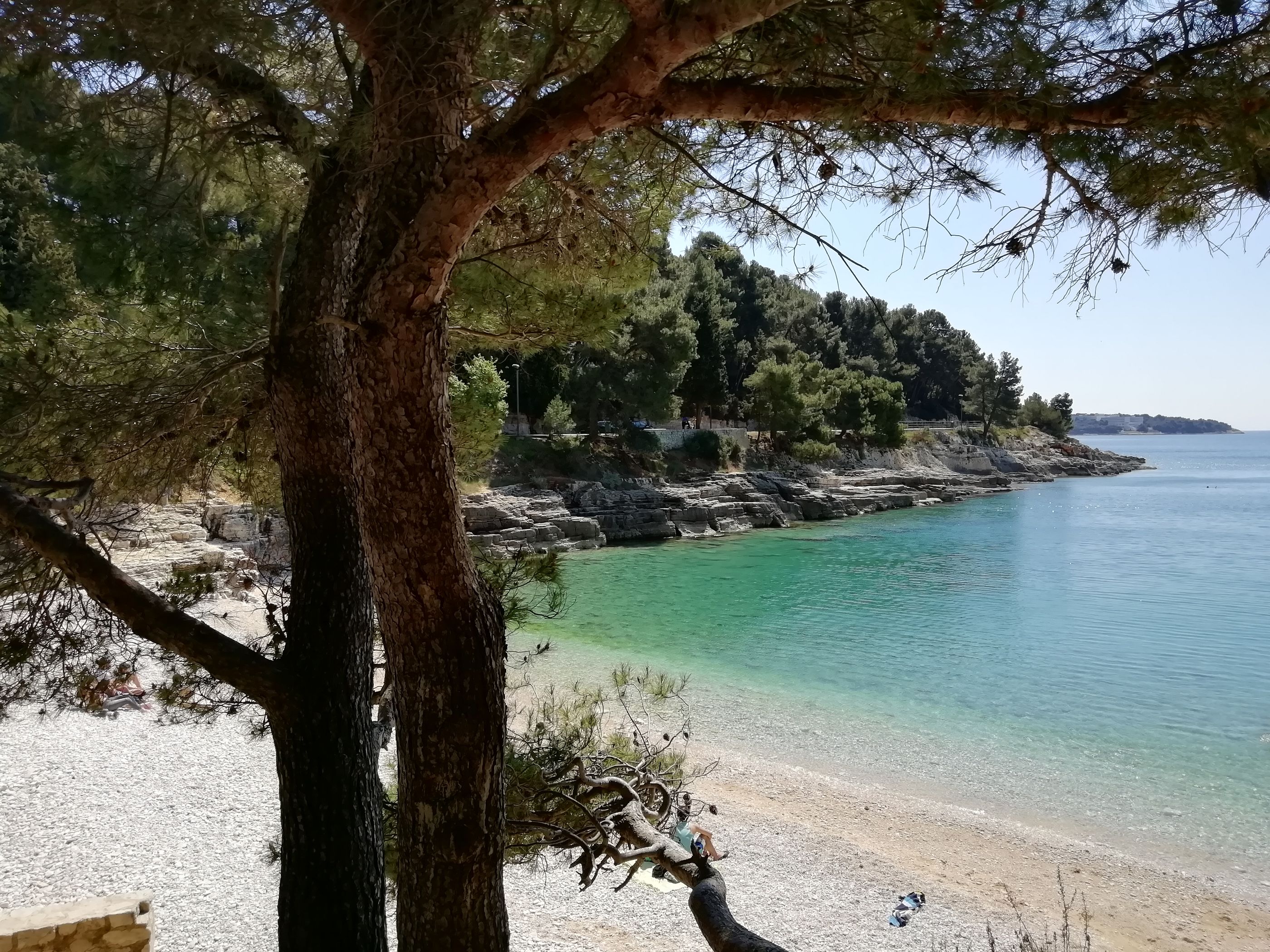 Photo of Apartments Jadranka