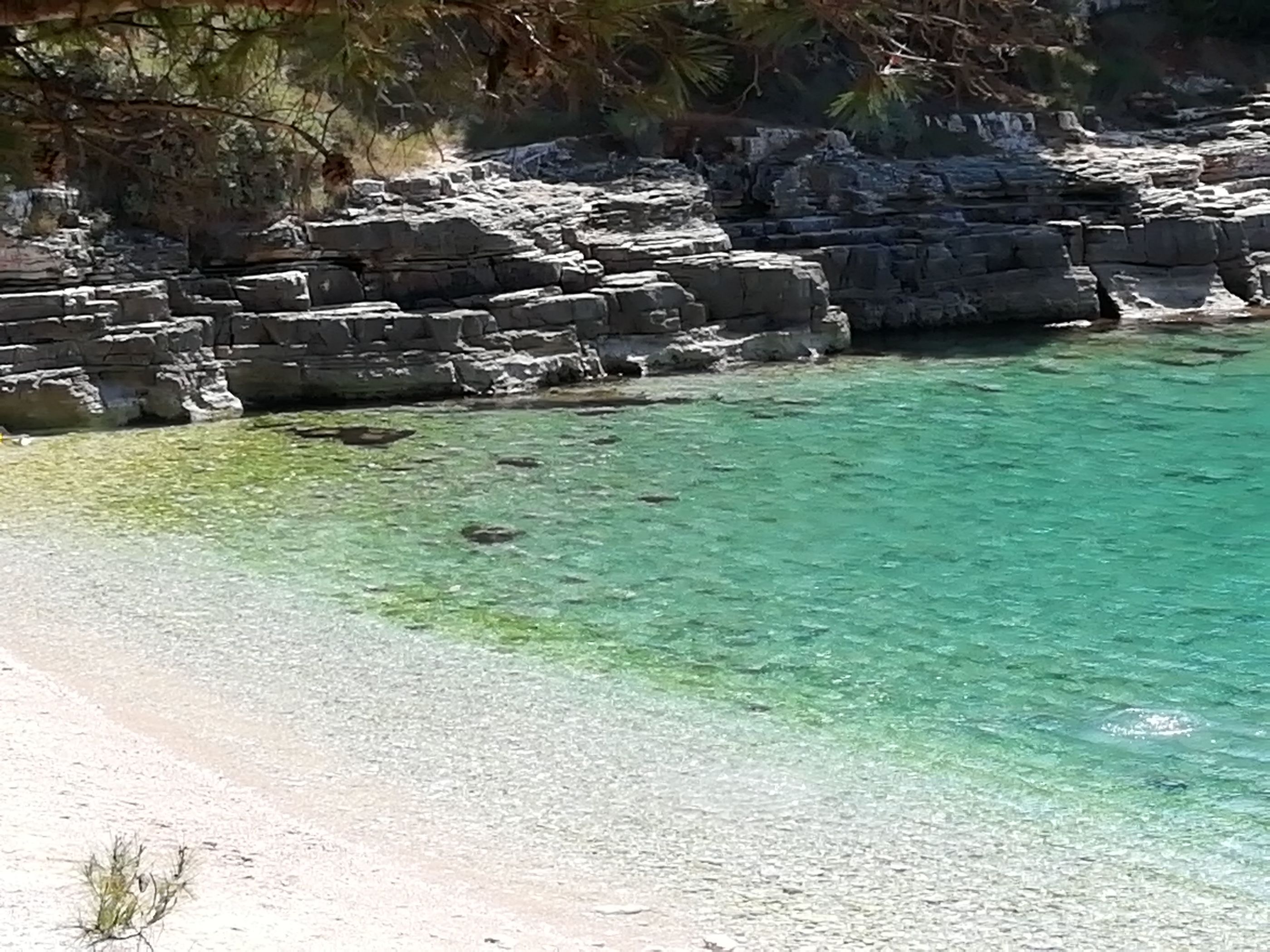 Photo of Apartments Jadranka