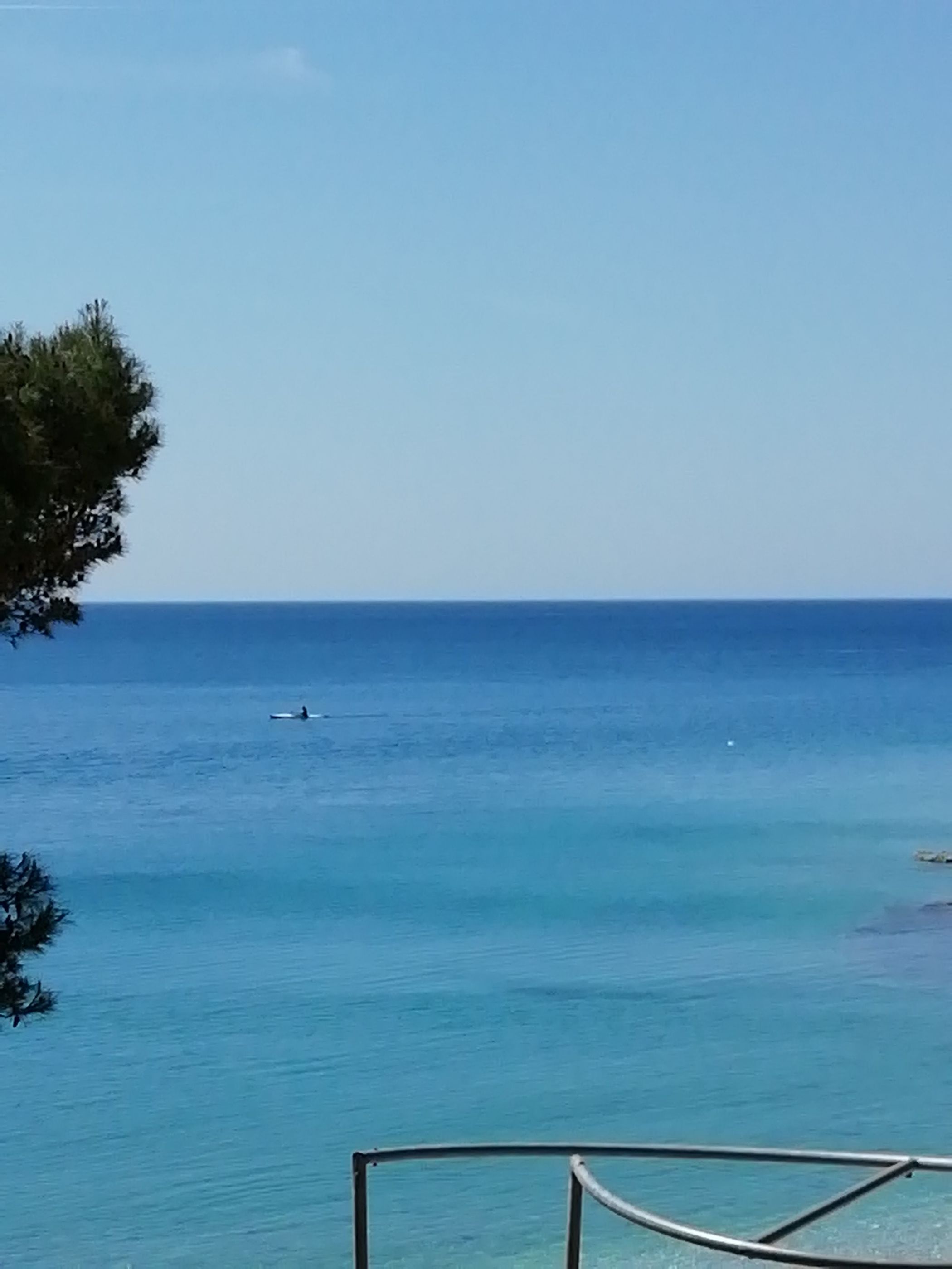 Photo of Apartments Jadranka